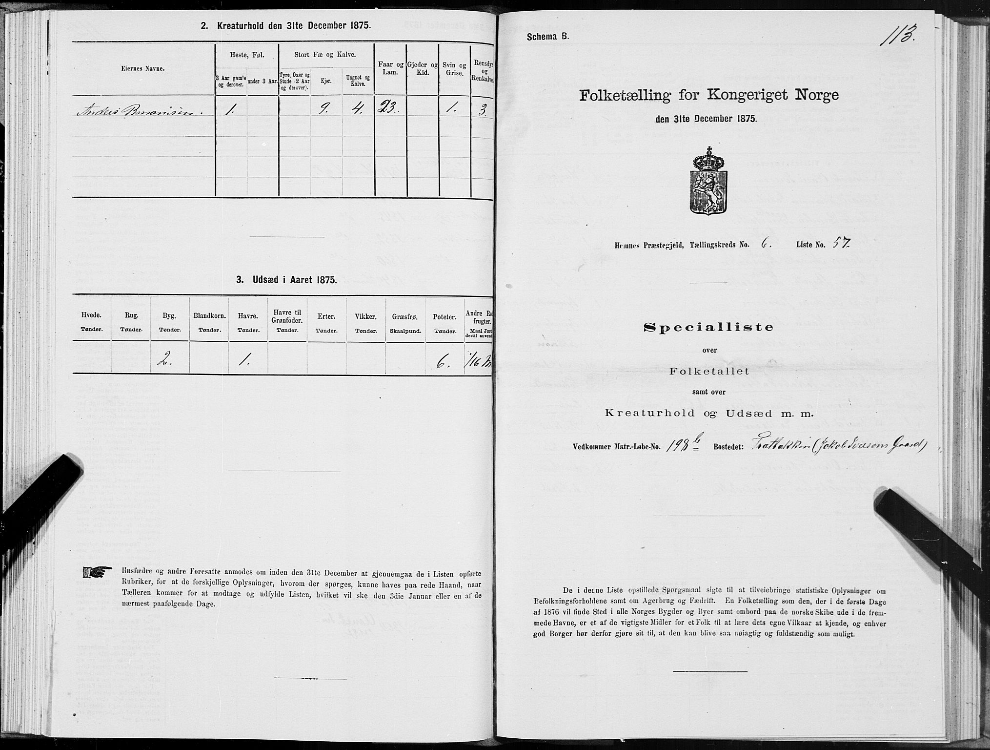 SAT, 1875 census for 1832P Hemnes, 1875, p. 4113