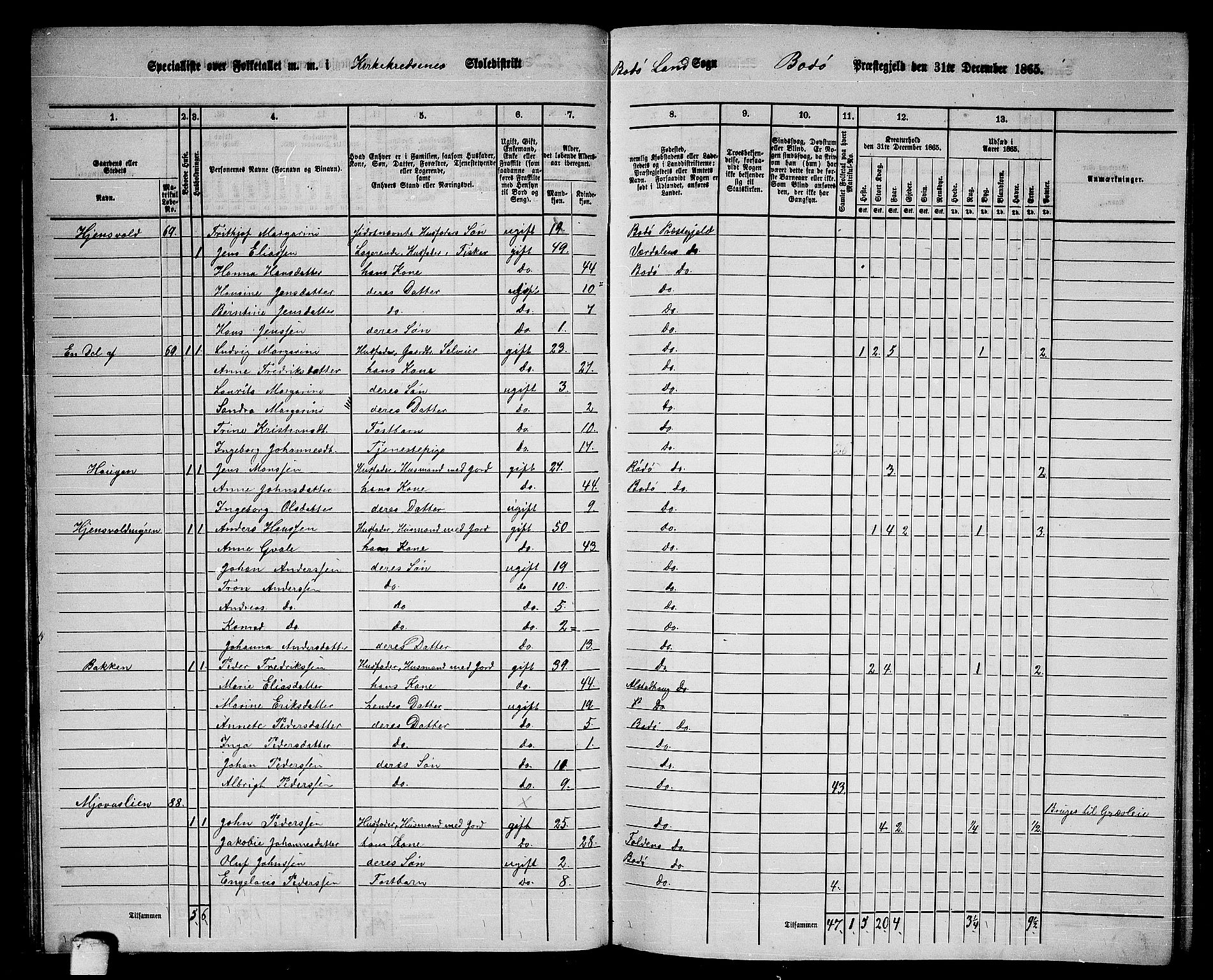 RA, 1865 census for Bodø/Bodø, 1865, p. 47