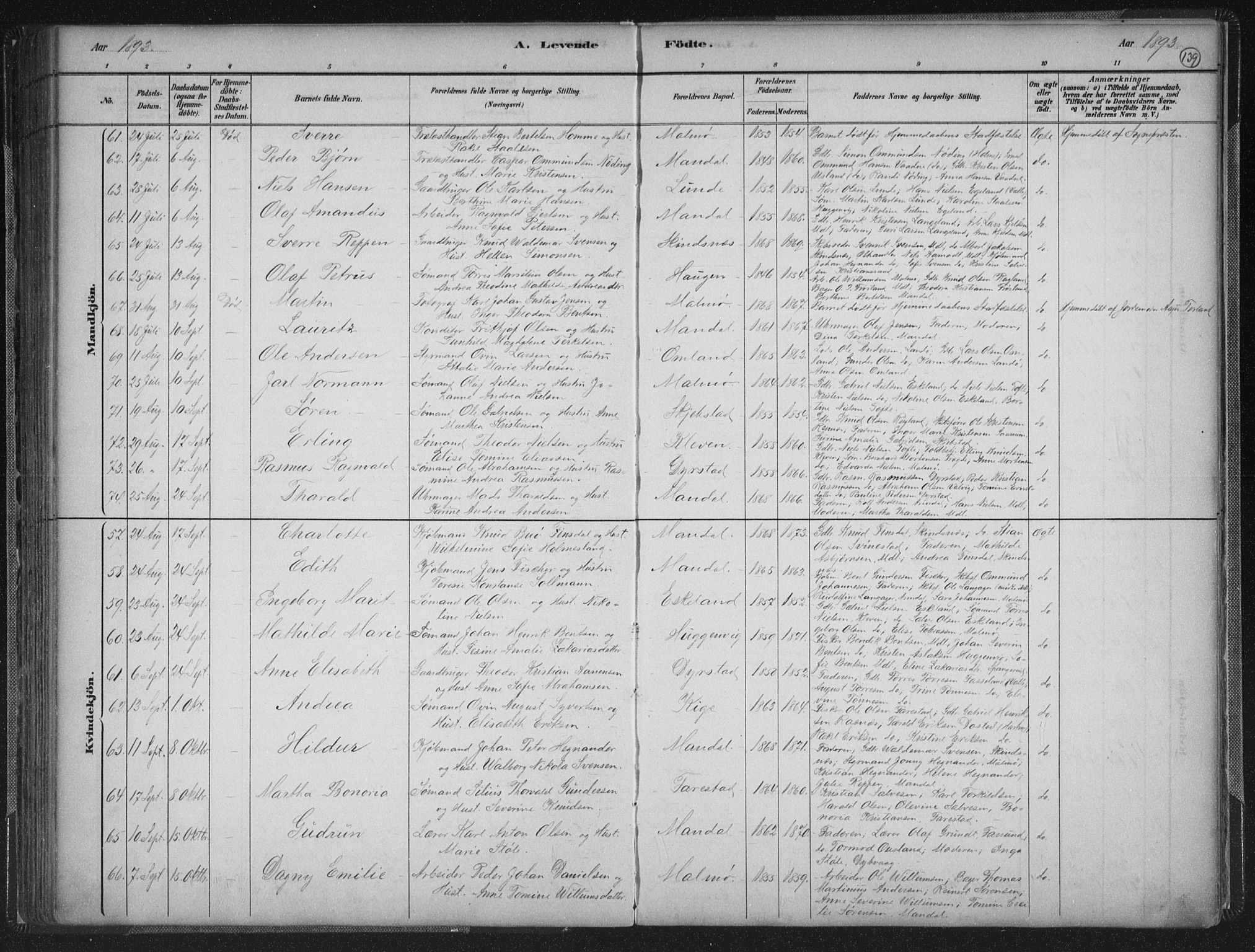 Mandal sokneprestkontor, AV/SAK-1111-0030/F/Fb/Fba/L0011: Parish register (copy) no. B 5, 1880-1898, p. 139