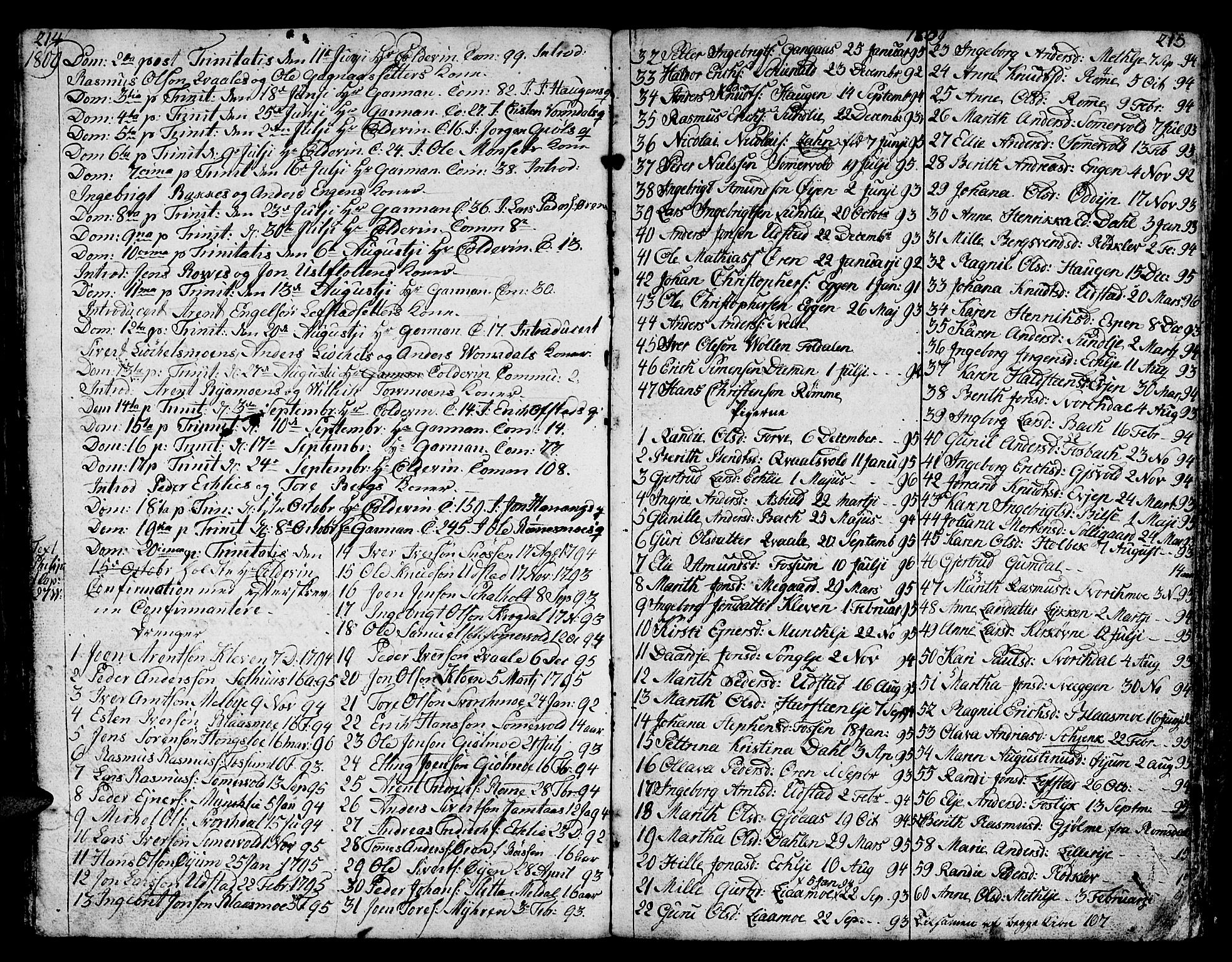 Ministerialprotokoller, klokkerbøker og fødselsregistre - Sør-Trøndelag, SAT/A-1456/668/L0815: Parish register (copy) no. 668C04, 1791-1815, p. 214-215