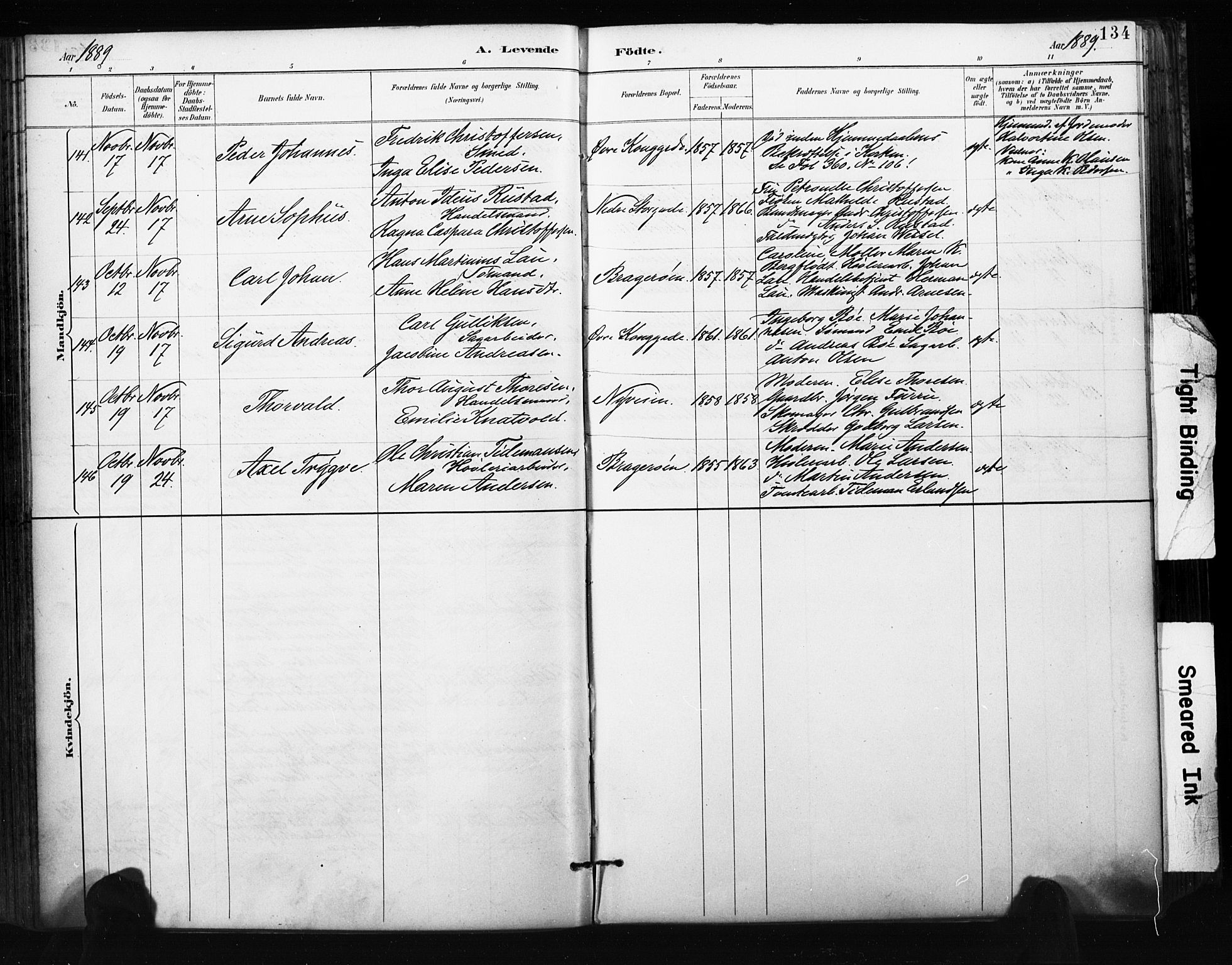 Bragernes kirkebøker, AV/SAKO-A-6/F/Fb/L0007: Parish register (official) no. II 7, 1885-1893, p. 134