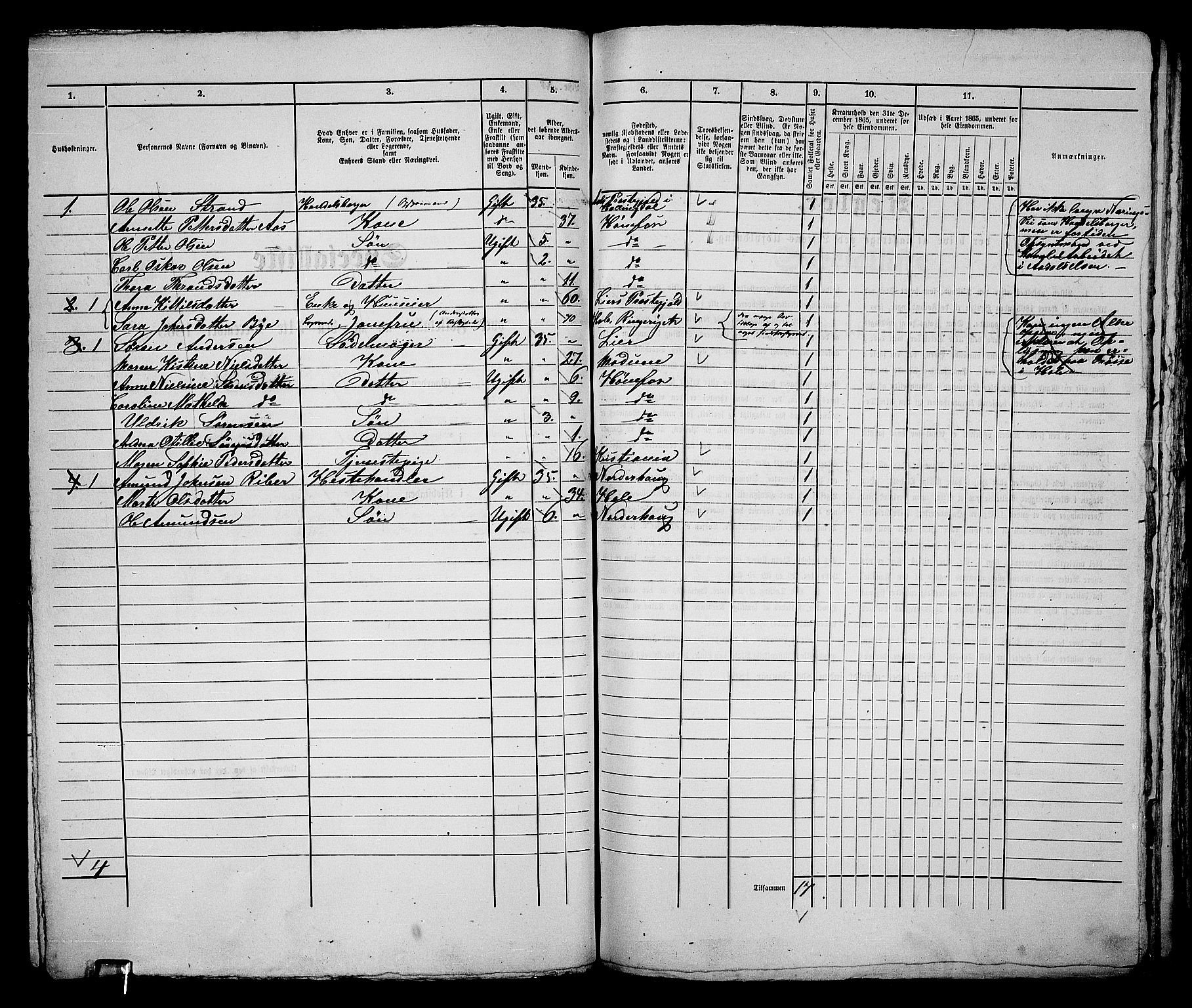 RA, 1865 census for Norderhov/Hønefoss, 1865, p. 231