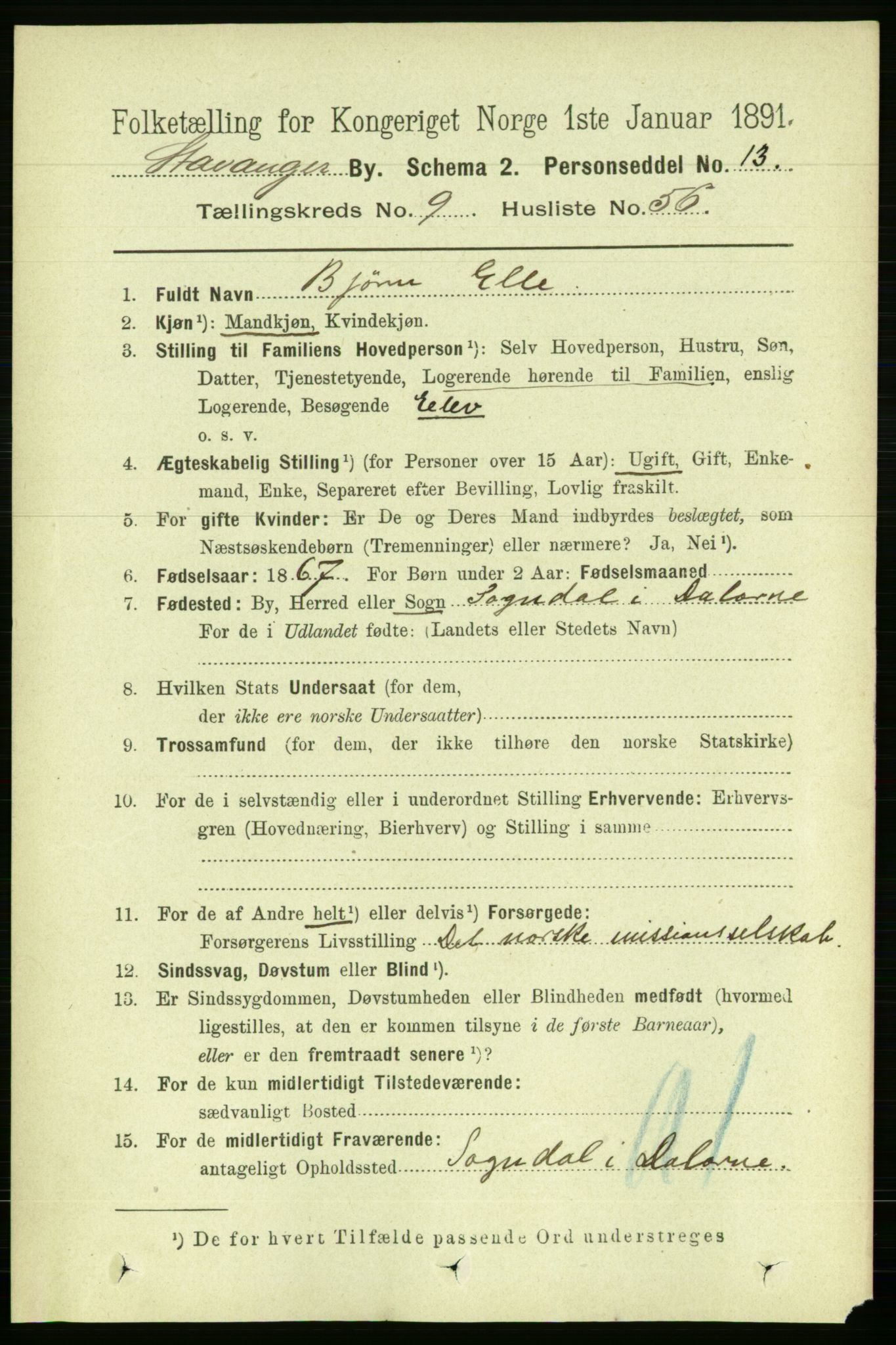 RA, 1891 census for 1103 Stavanger, 1891, p. 13199