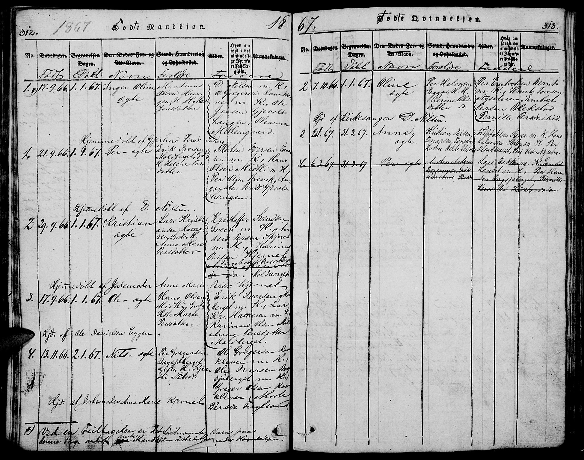 Trysil prestekontor, AV/SAH-PREST-046/H/Ha/Hab/L0005: Parish register (copy) no. 5, 1814-1877, p. 312-313