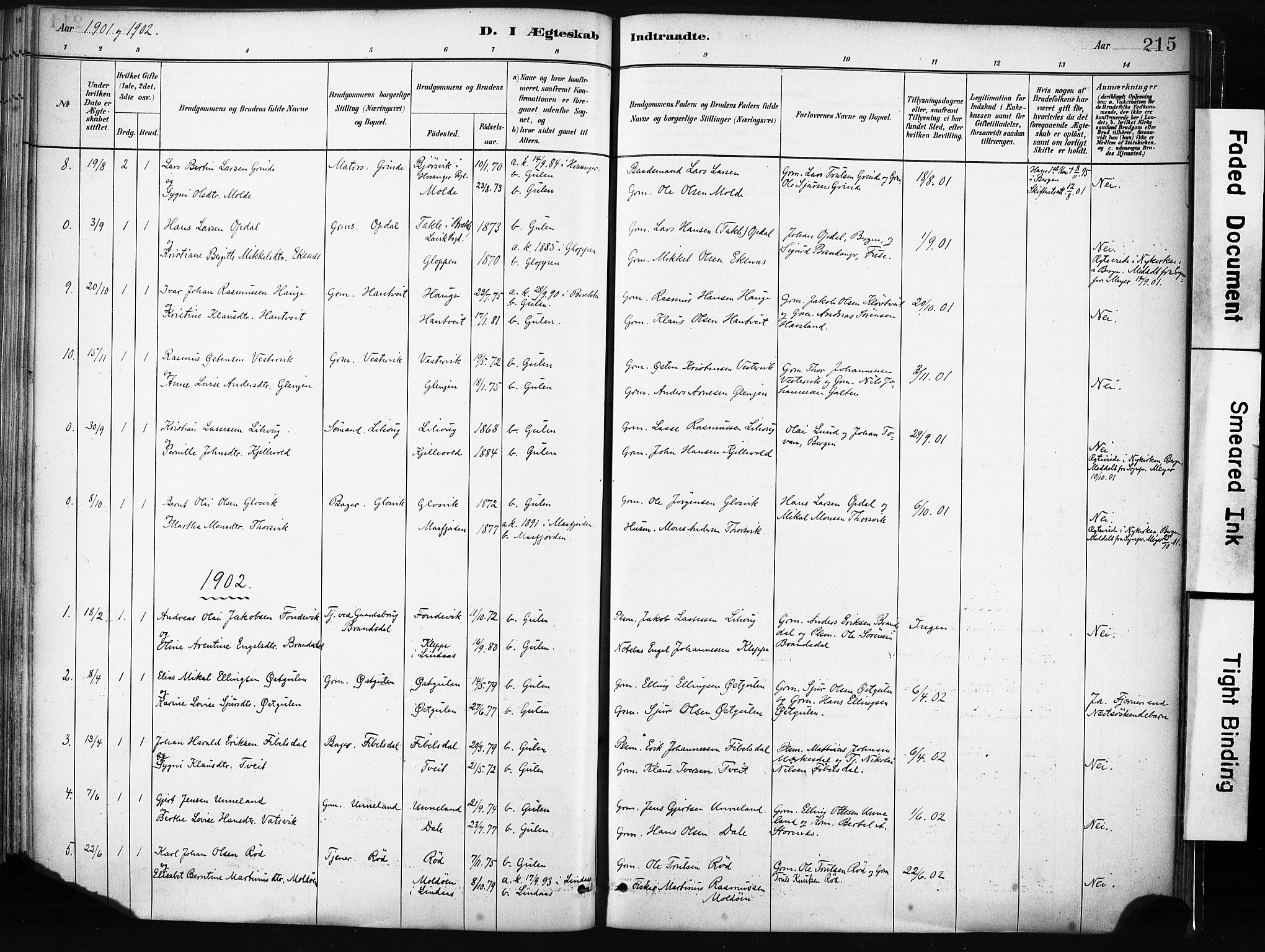 Gulen sokneprestembete, SAB/A-80201/H/Haa/Haab/L0001: Parish register (official) no. B 1, 1881-1905, p. 215