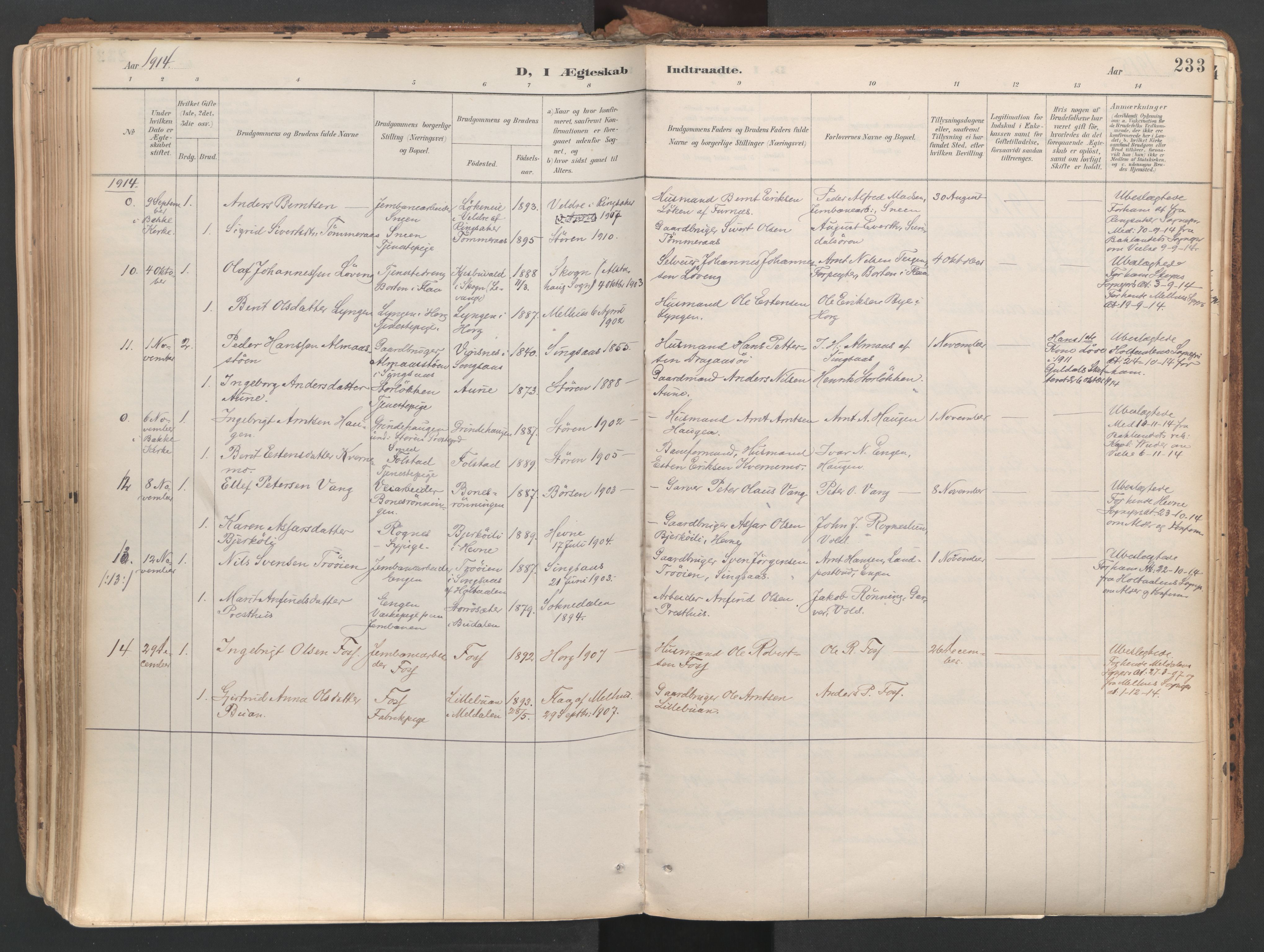 Ministerialprotokoller, klokkerbøker og fødselsregistre - Sør-Trøndelag, SAT/A-1456/687/L1004: Parish register (official) no. 687A10, 1891-1923, p. 233