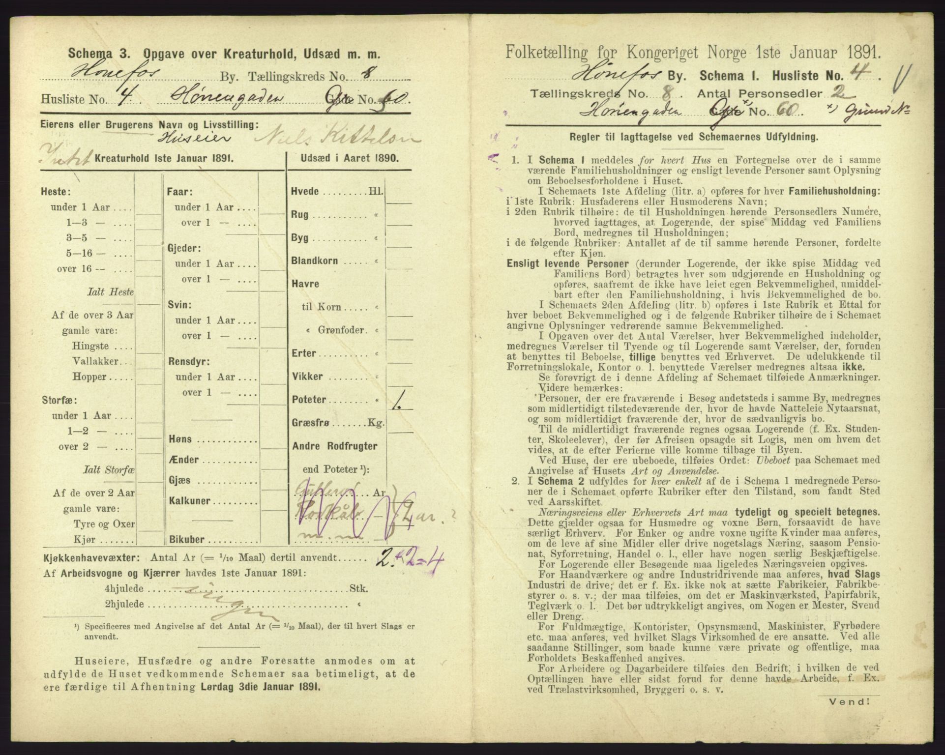 RA, 1891 census for 0601 Hønefoss, 1891, p. 213