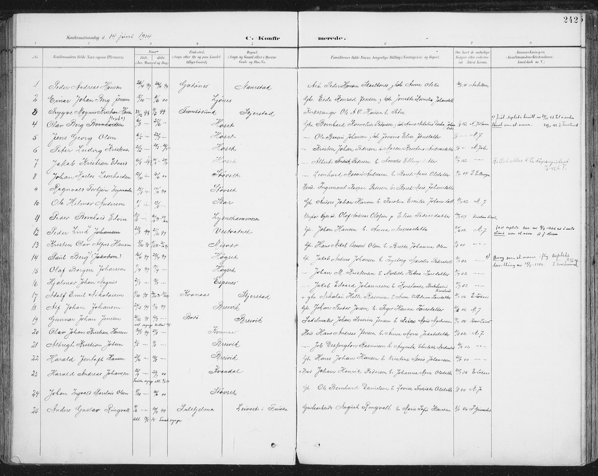 Ministerialprotokoller, klokkerbøker og fødselsregistre - Nordland, AV/SAT-A-1459/852/L0741: Parish register (official) no. 852A11, 1894-1917, p. 242