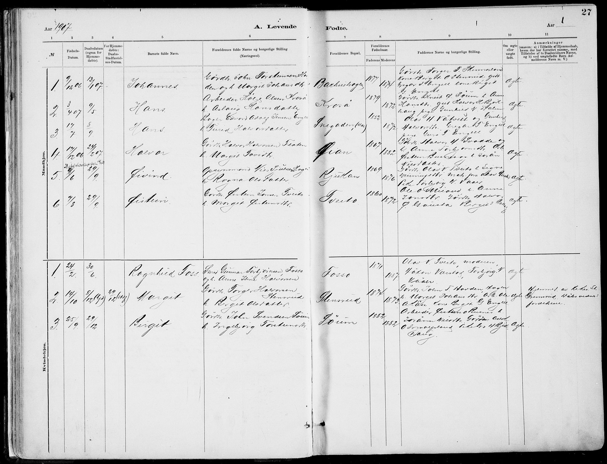 Rjukan kirkebøker, SAKO/A-294/F/Fa/L0001: Parish register (official) no. 1, 1878-1912, p. 27