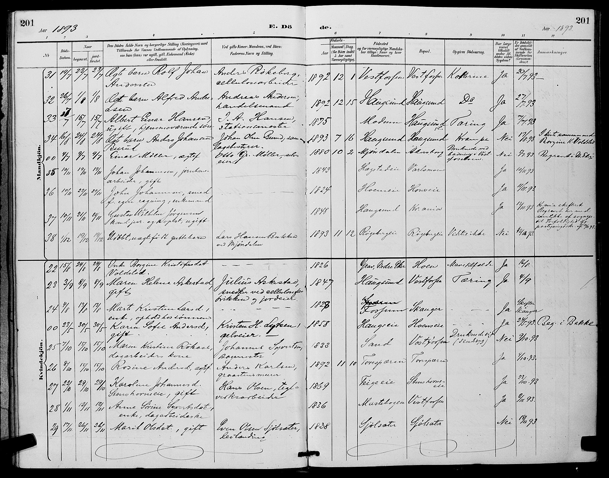 Eiker kirkebøker, AV/SAKO-A-4/G/Ga/L0007: Parish register (copy) no. I 7, 1893-1902, p. 201