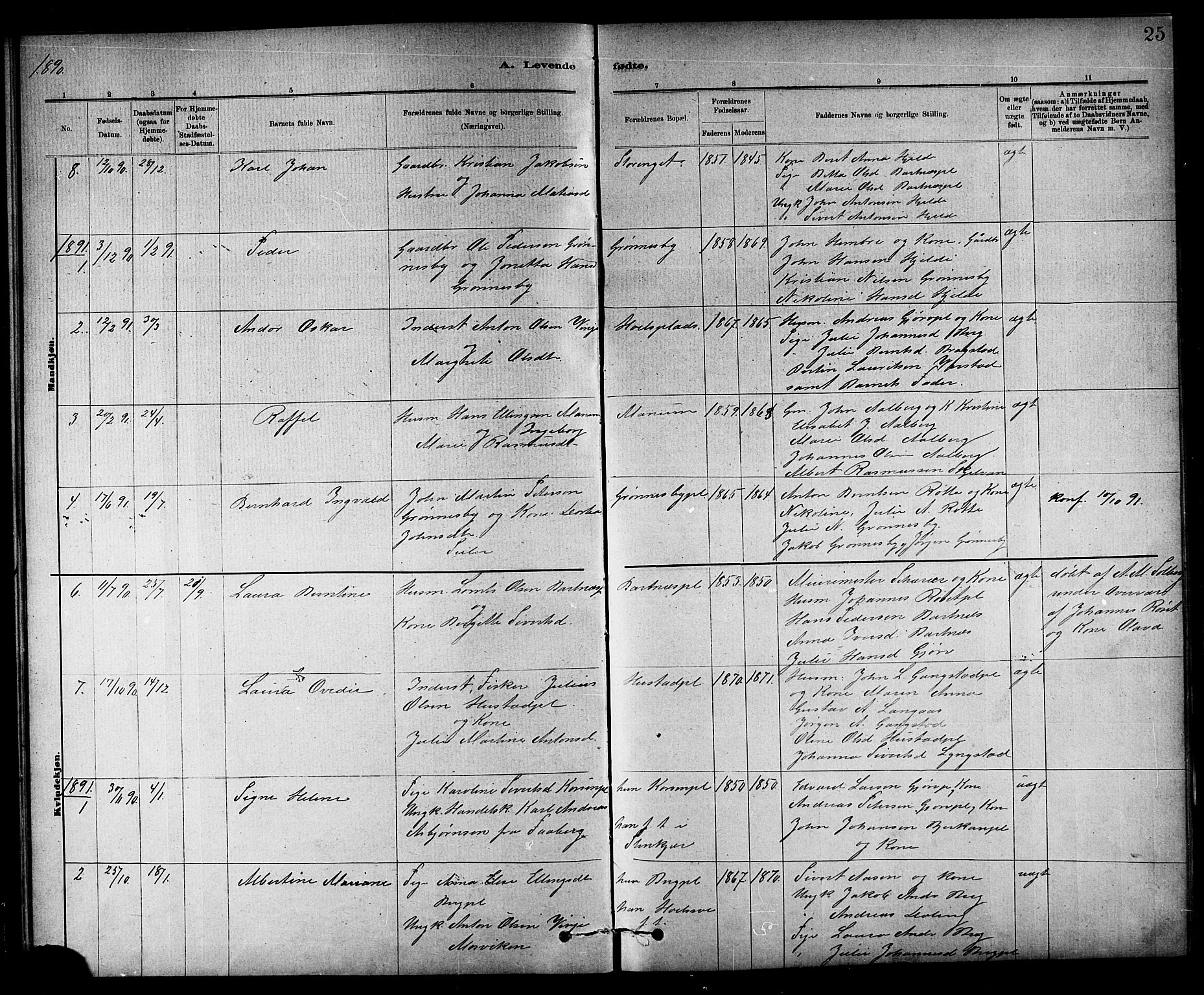 Ministerialprotokoller, klokkerbøker og fødselsregistre - Nord-Trøndelag, SAT/A-1458/732/L0318: Parish register (copy) no. 732C02, 1881-1911, p. 25
