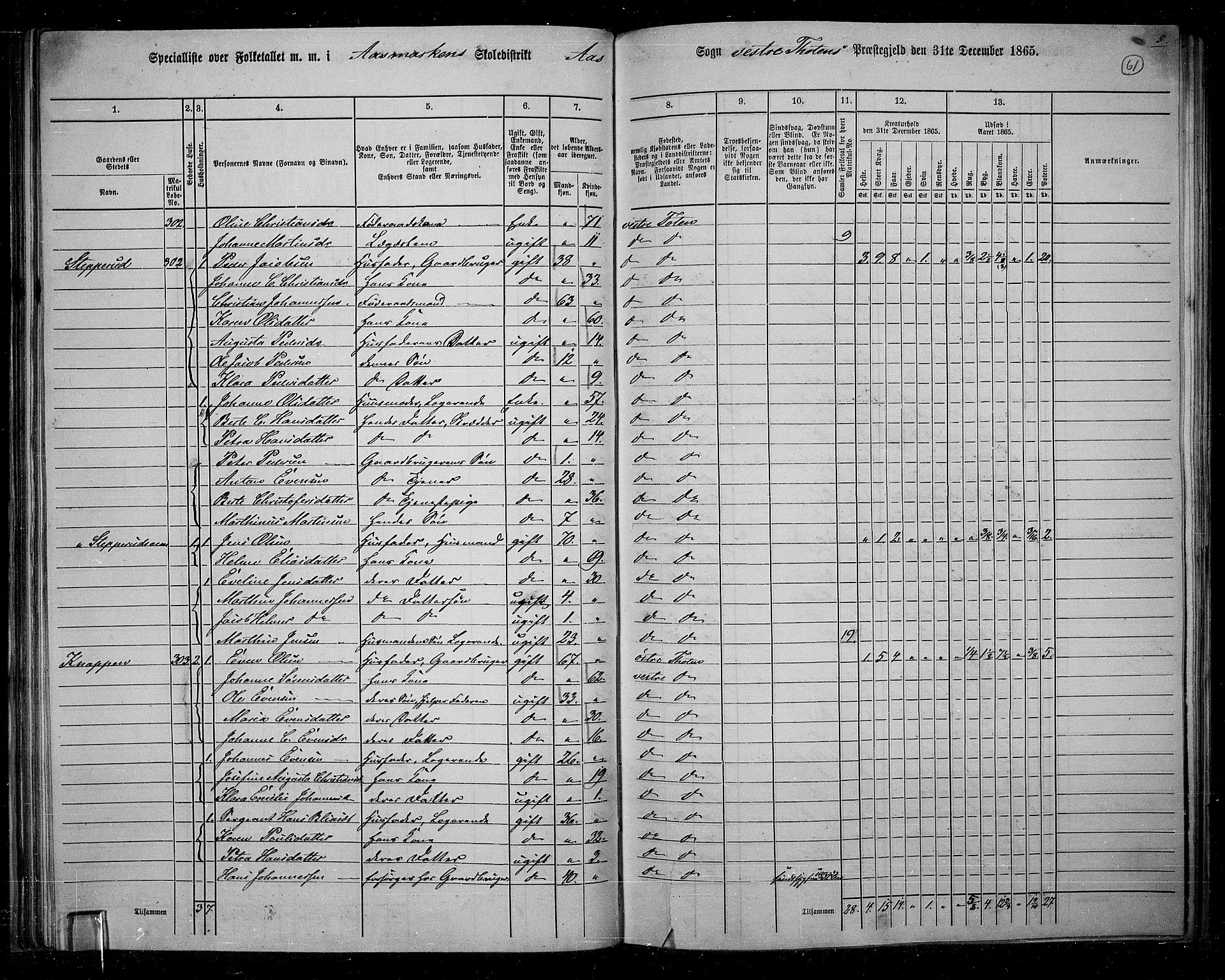 RA, 1865 census for Vestre Toten, 1865, p. 57