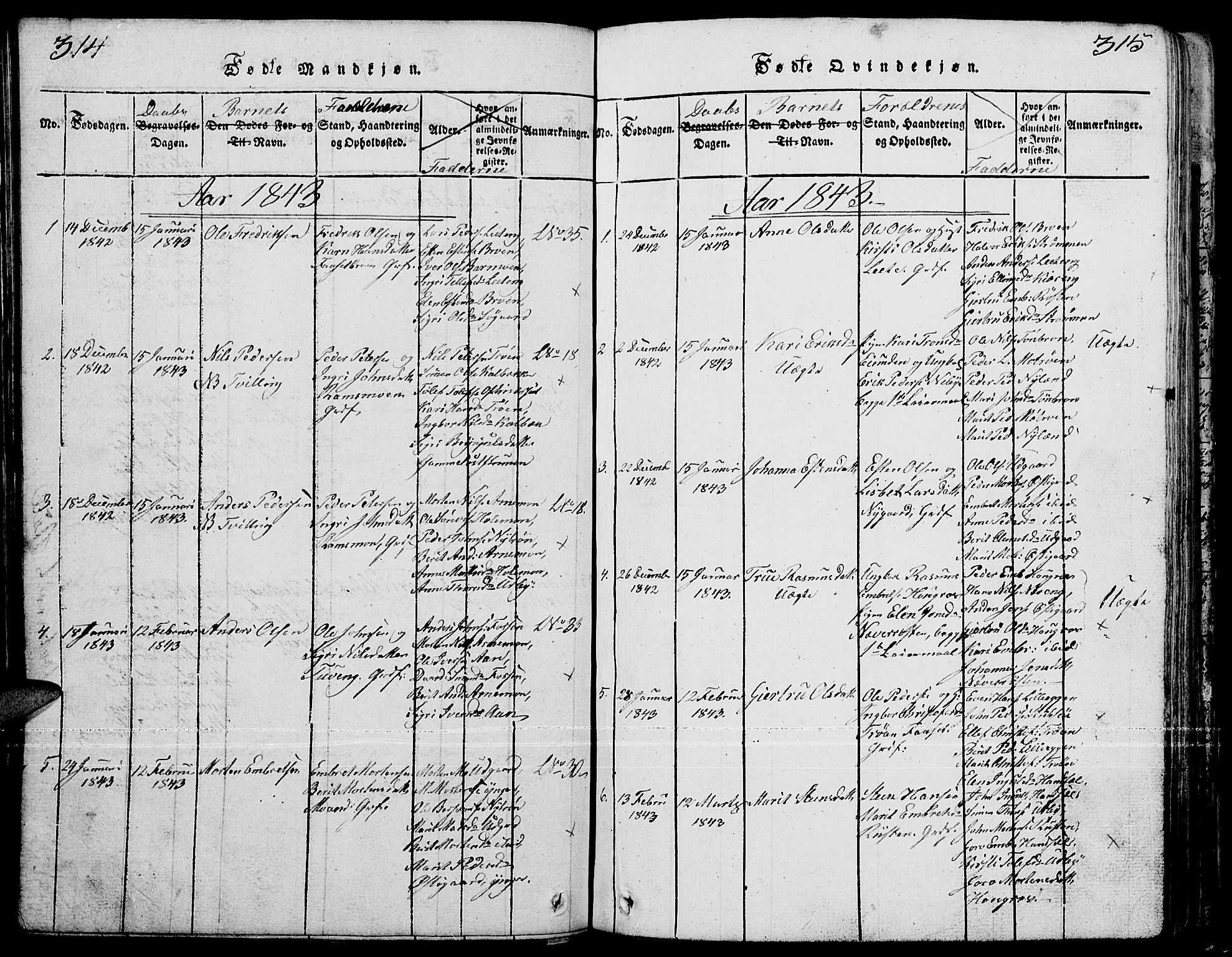 Tynset prestekontor, SAH/PREST-058/H/Ha/Hab/L0001: Parish register (copy) no. 1, 1814-1859, p. 314-315