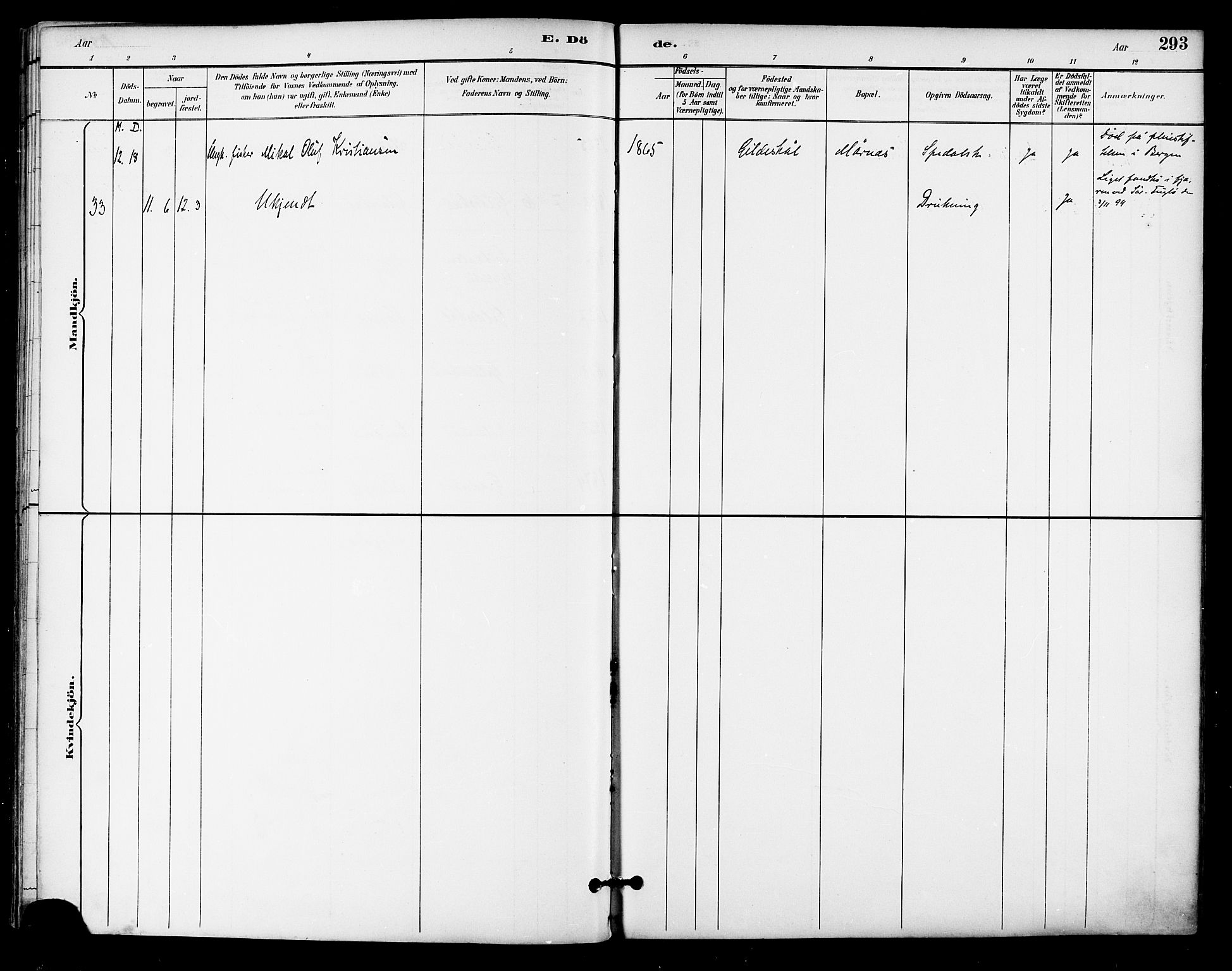 Ministerialprotokoller, klokkerbøker og fødselsregistre - Nordland, AV/SAT-A-1459/805/L0101: Parish register (official) no. 805A07, 1892-1899, p. 293