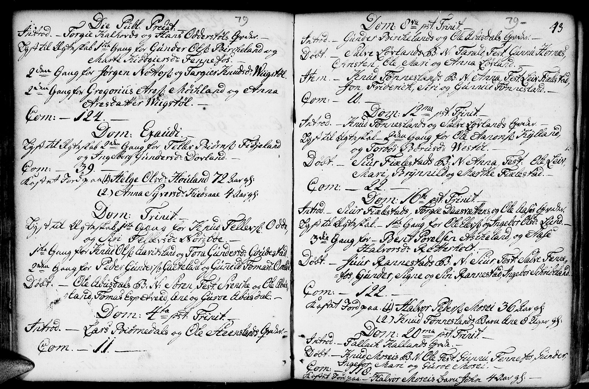 Evje sokneprestkontor, SAK/1111-0008/F/Fa/Fab/L0002: Parish register (official) no. A 2, 1765-1816, p. 43