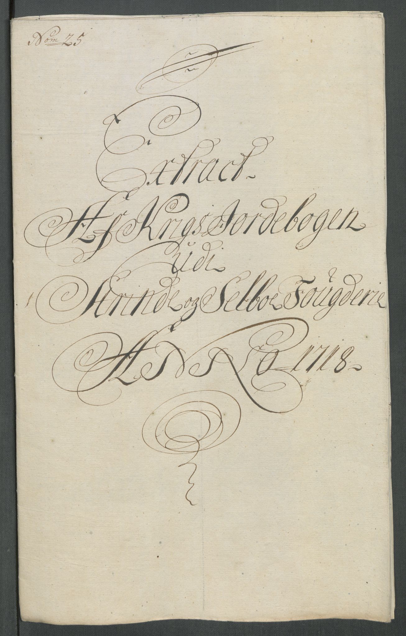 Rentekammeret inntil 1814, Reviderte regnskaper, Fogderegnskap, AV/RA-EA-4092/R61/L4116: Fogderegnskap Strinda og Selbu, 1717-1718, p. 469