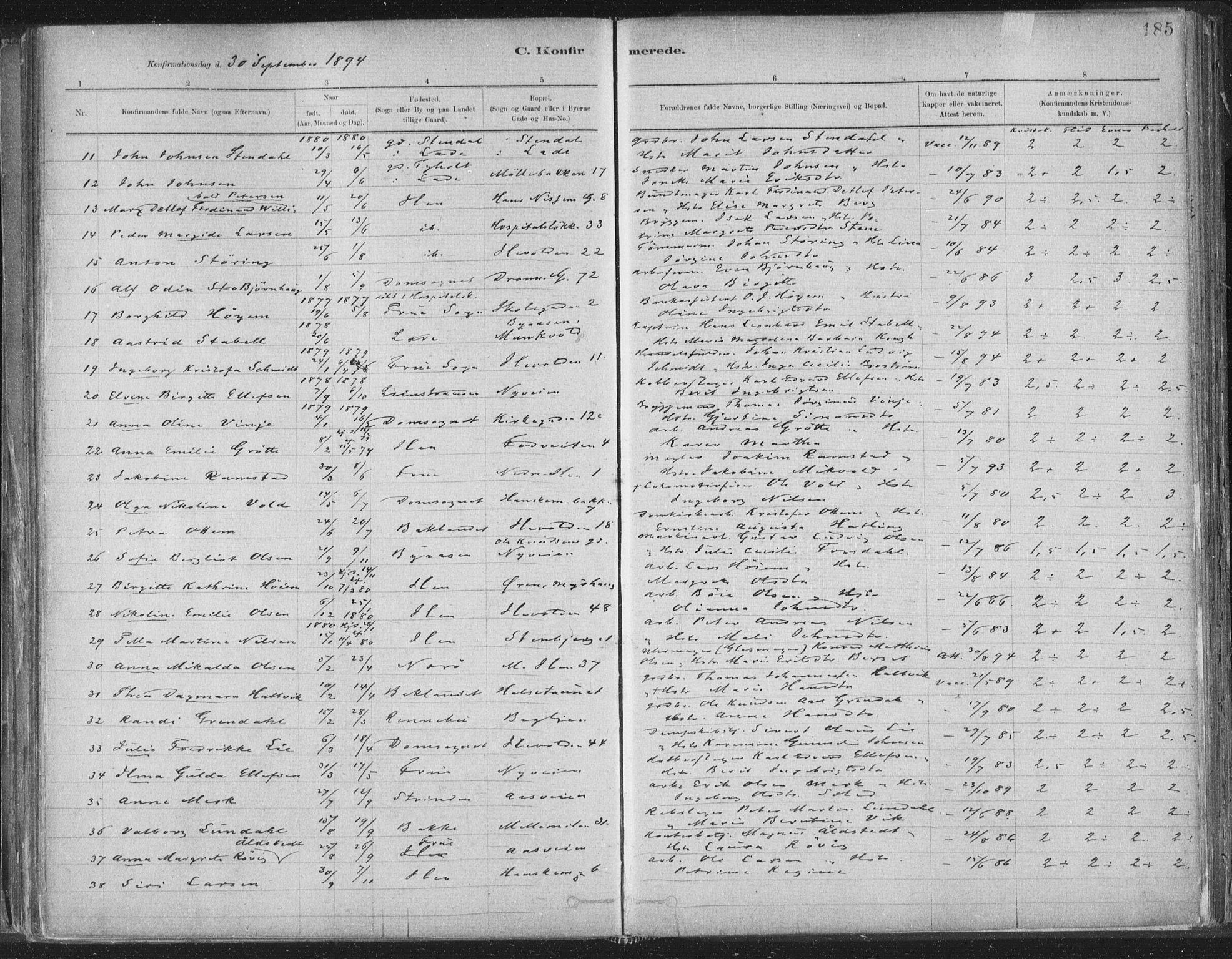 Ministerialprotokoller, klokkerbøker og fødselsregistre - Sør-Trøndelag, AV/SAT-A-1456/603/L0162: Parish register (official) no. 603A01, 1879-1895, p. 185