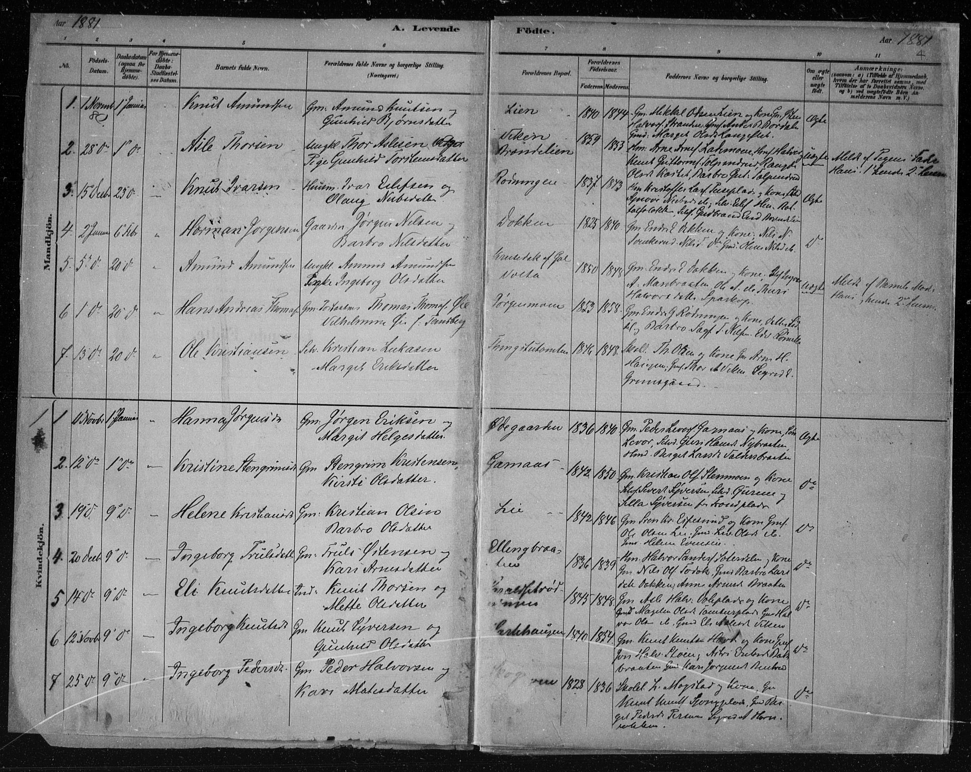 Nes kirkebøker, SAKO/A-236/F/Fa/L0011: Parish register (official) no. 11, 1881-1912, p. 4
