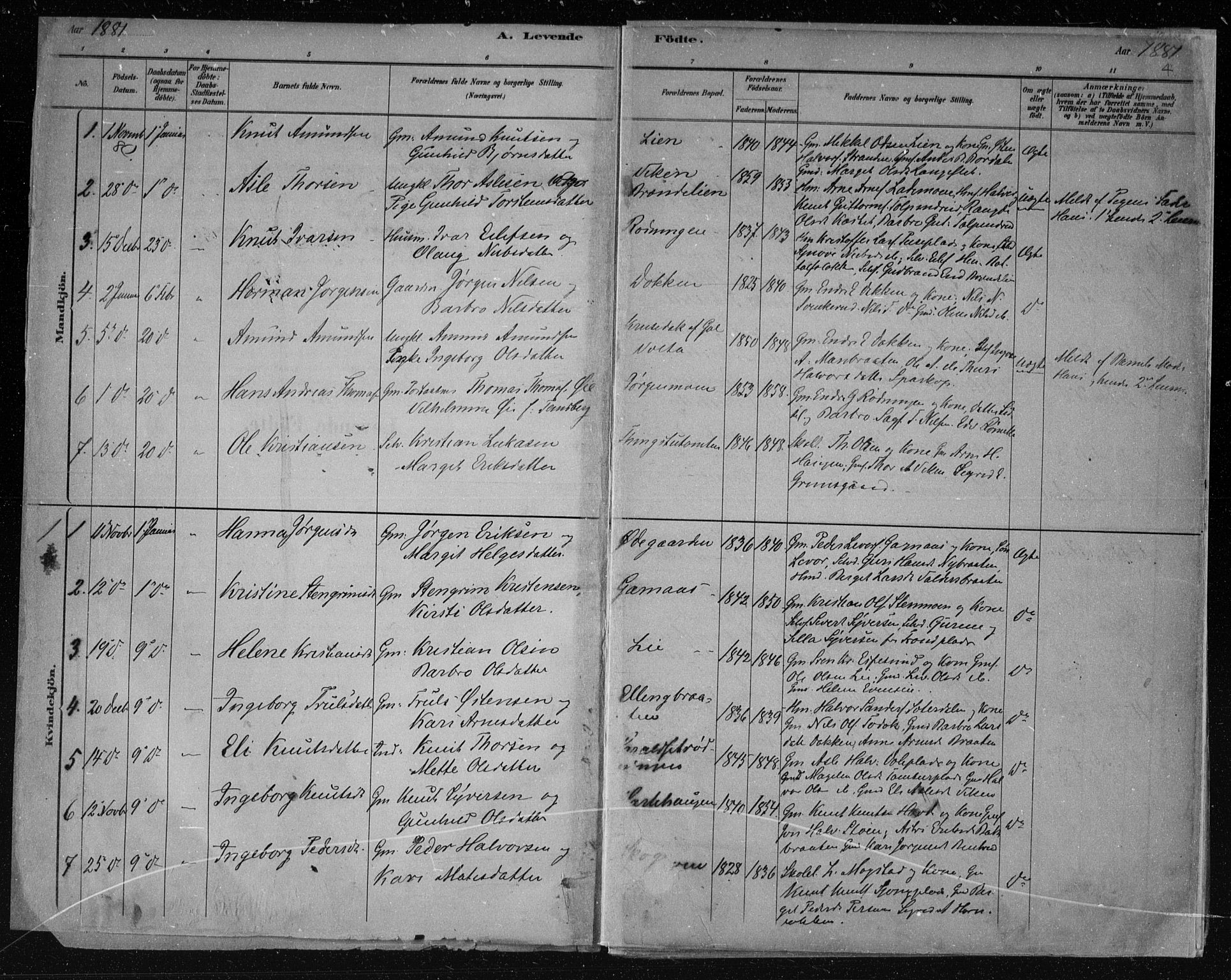 Nes kirkebøker, AV/SAKO-A-236/F/Fa/L0011: Parish register (official) no. 11, 1881-1912, p. 4