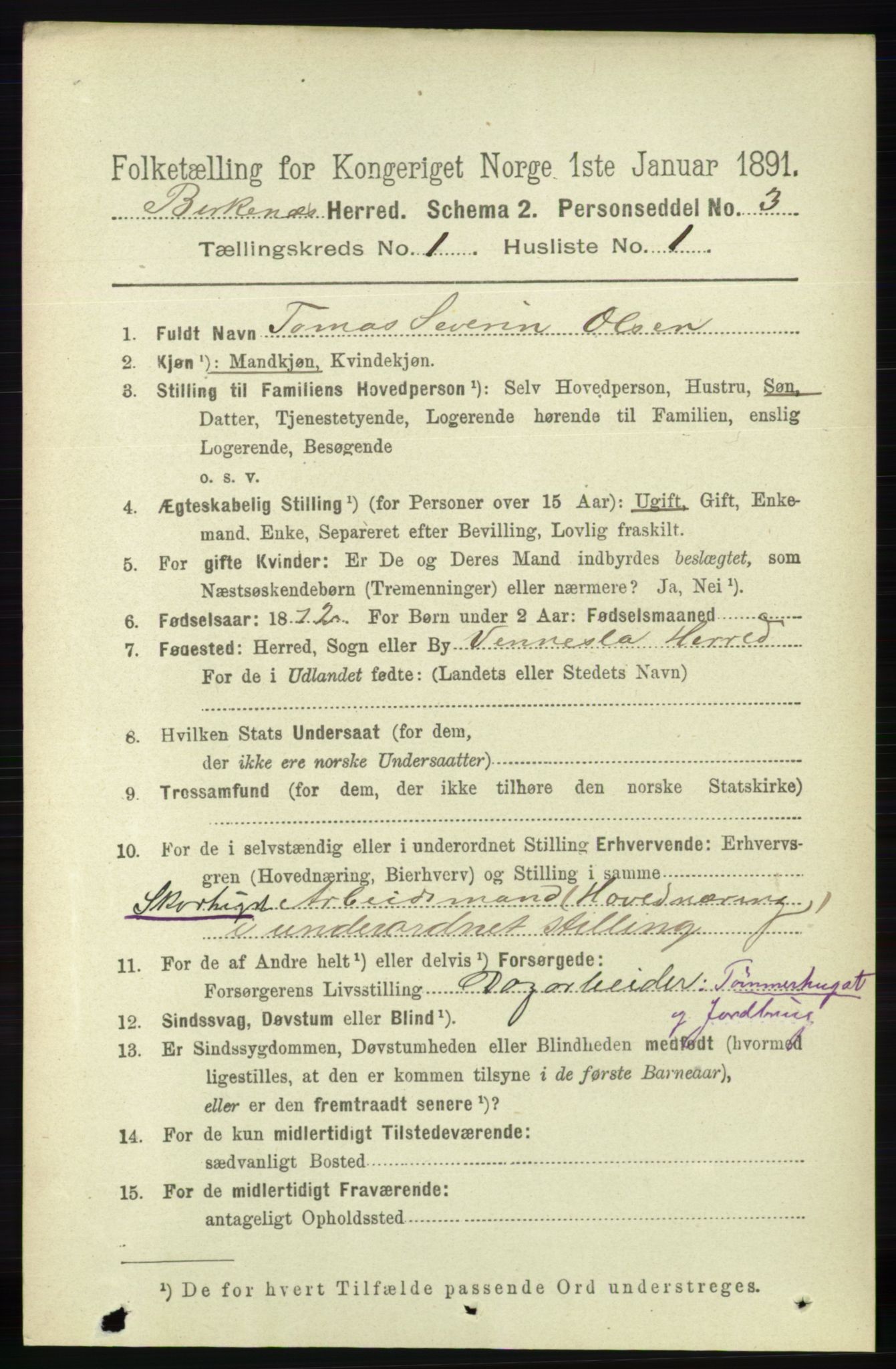 RA, 1891 Census for 0928 Birkenes, 1891, p. 95