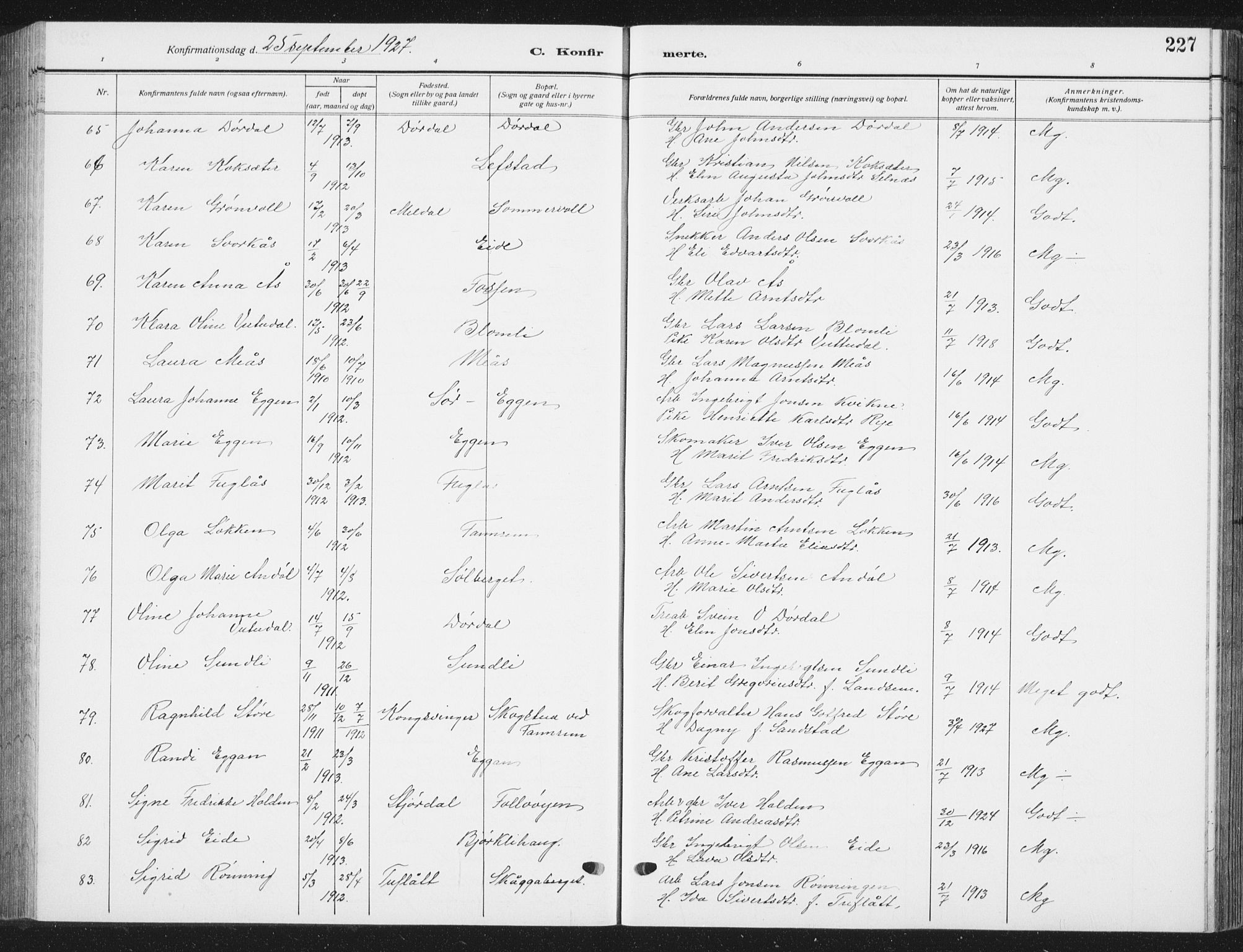 Ministerialprotokoller, klokkerbøker og fødselsregistre - Sør-Trøndelag, SAT/A-1456/668/L0820: Parish register (copy) no. 668C09, 1912-1936, p. 227