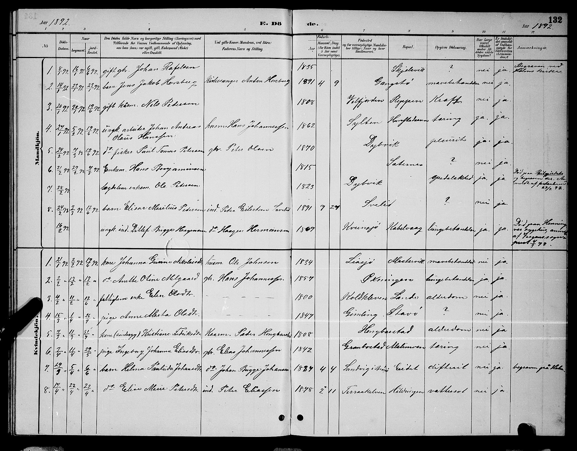 Ministerialprotokoller, klokkerbøker og fødselsregistre - Nordland, SAT/A-1459/810/L0160: Parish register (copy) no. 810C03, 1884-1896, p. 132