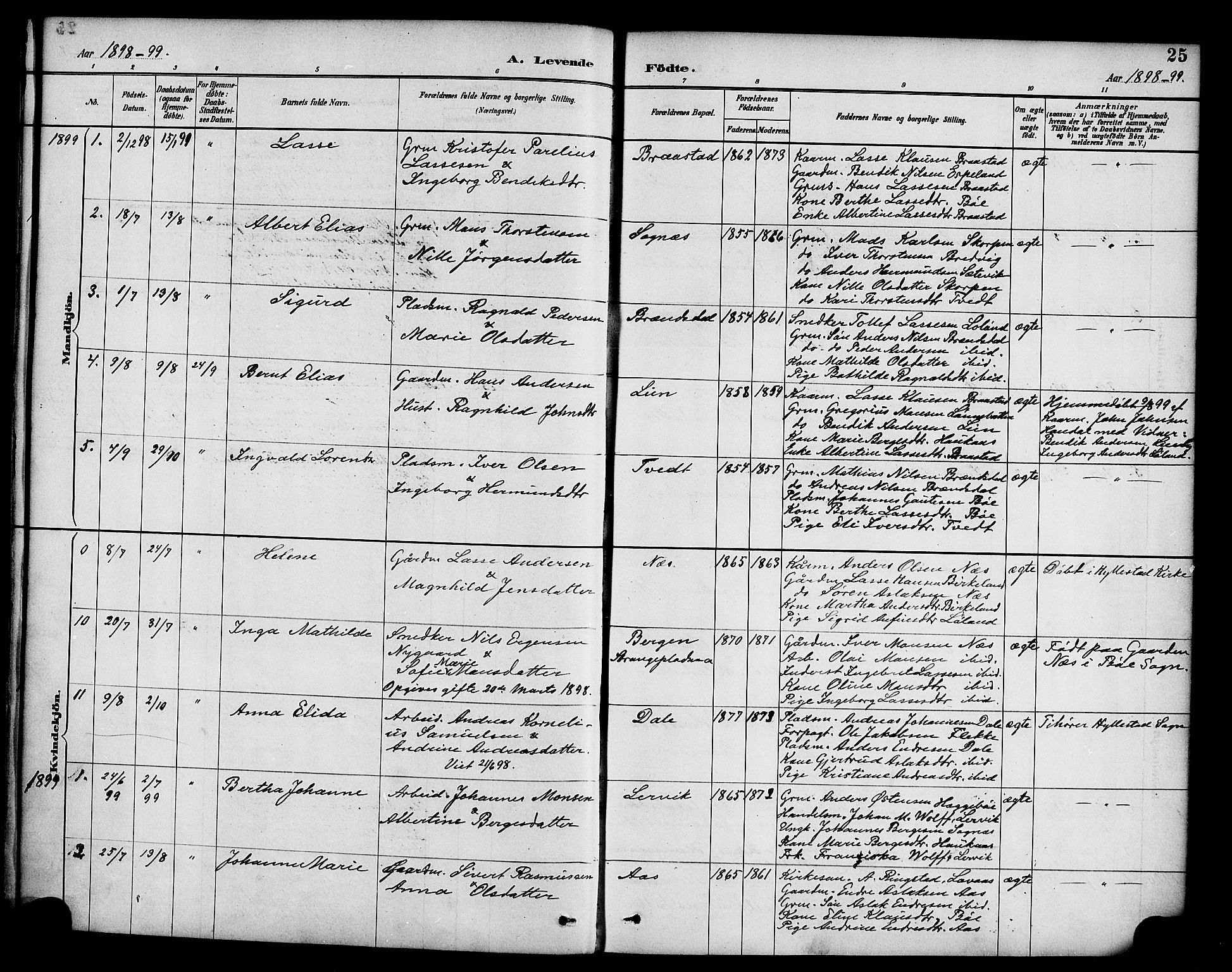Hyllestad sokneprestembete, SAB/A-80401: Parish register (official) no. C 1, 1886-1904, p. 25
