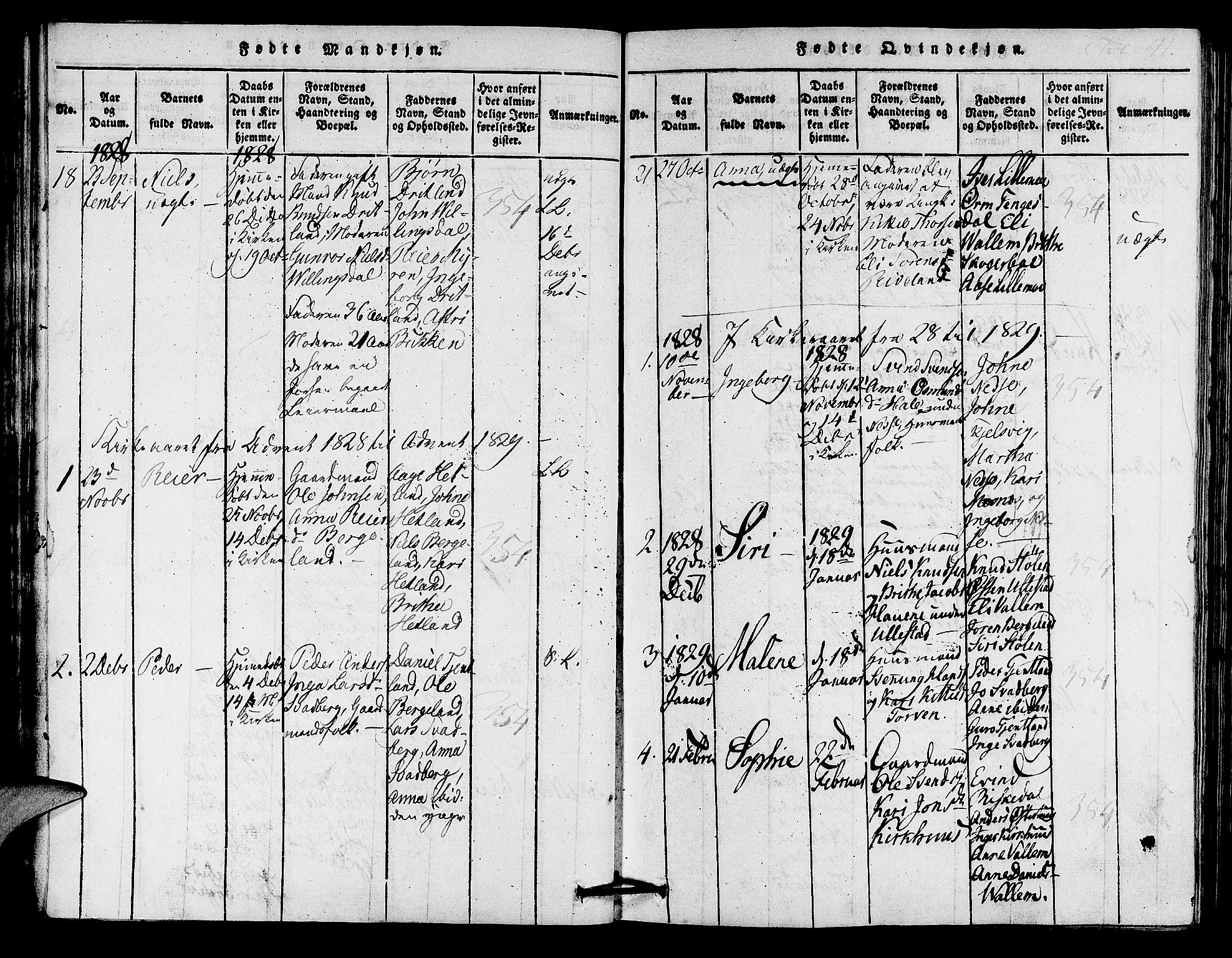 Hjelmeland sokneprestkontor, AV/SAST-A-101843/01/IV/L0005: Parish register (official) no. A 5, 1816-1841, p. 41