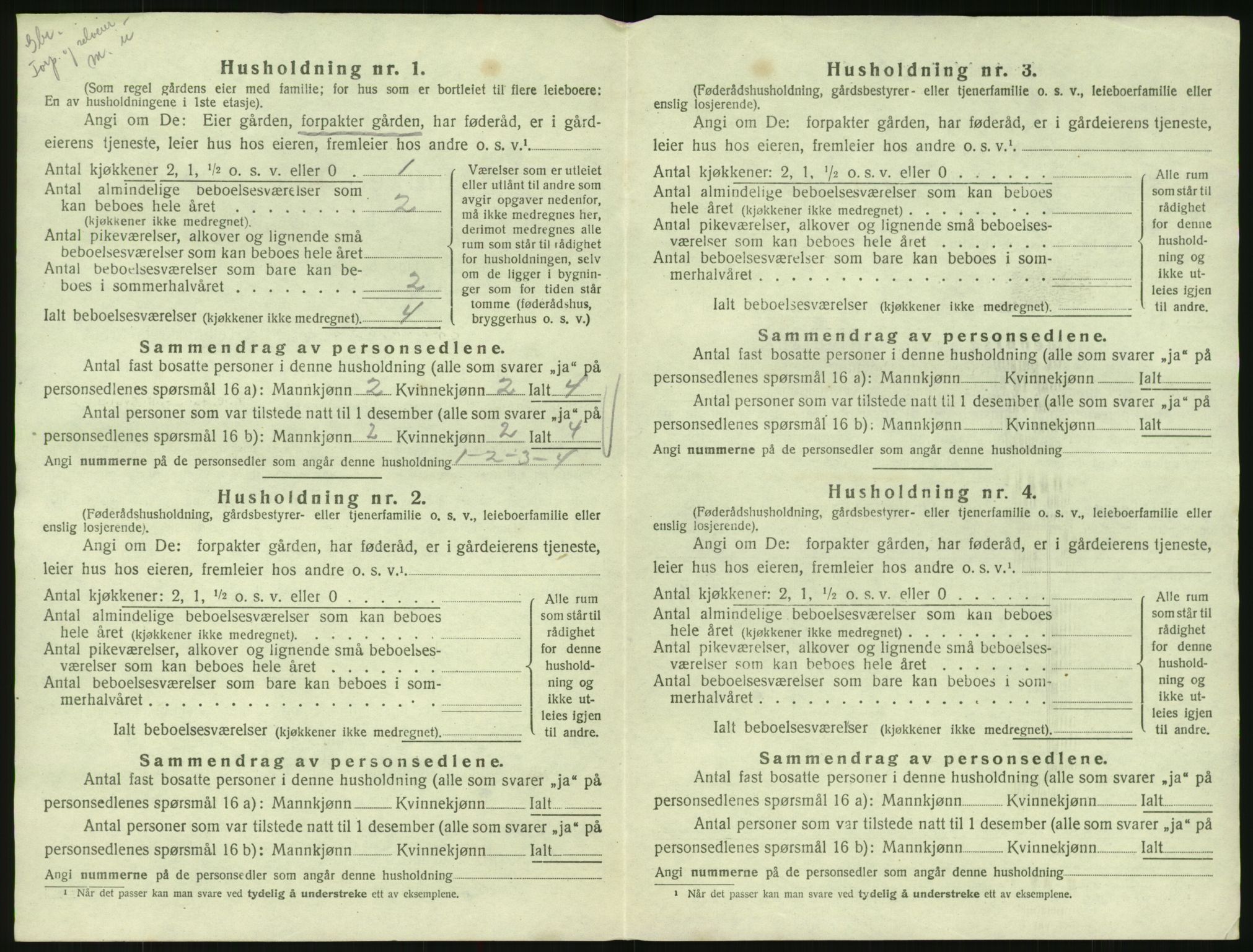 SAK, 1920 census for Hornnes, 1920, p. 556