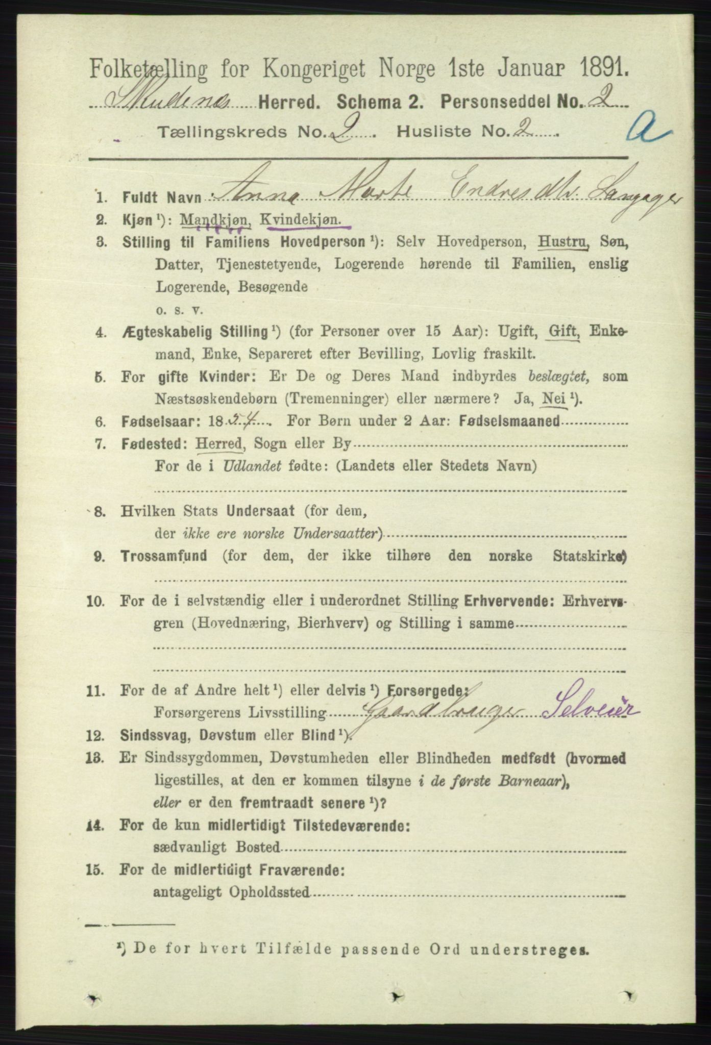 RA, 1891 census for 1150 Skudenes, 1891, p. 685