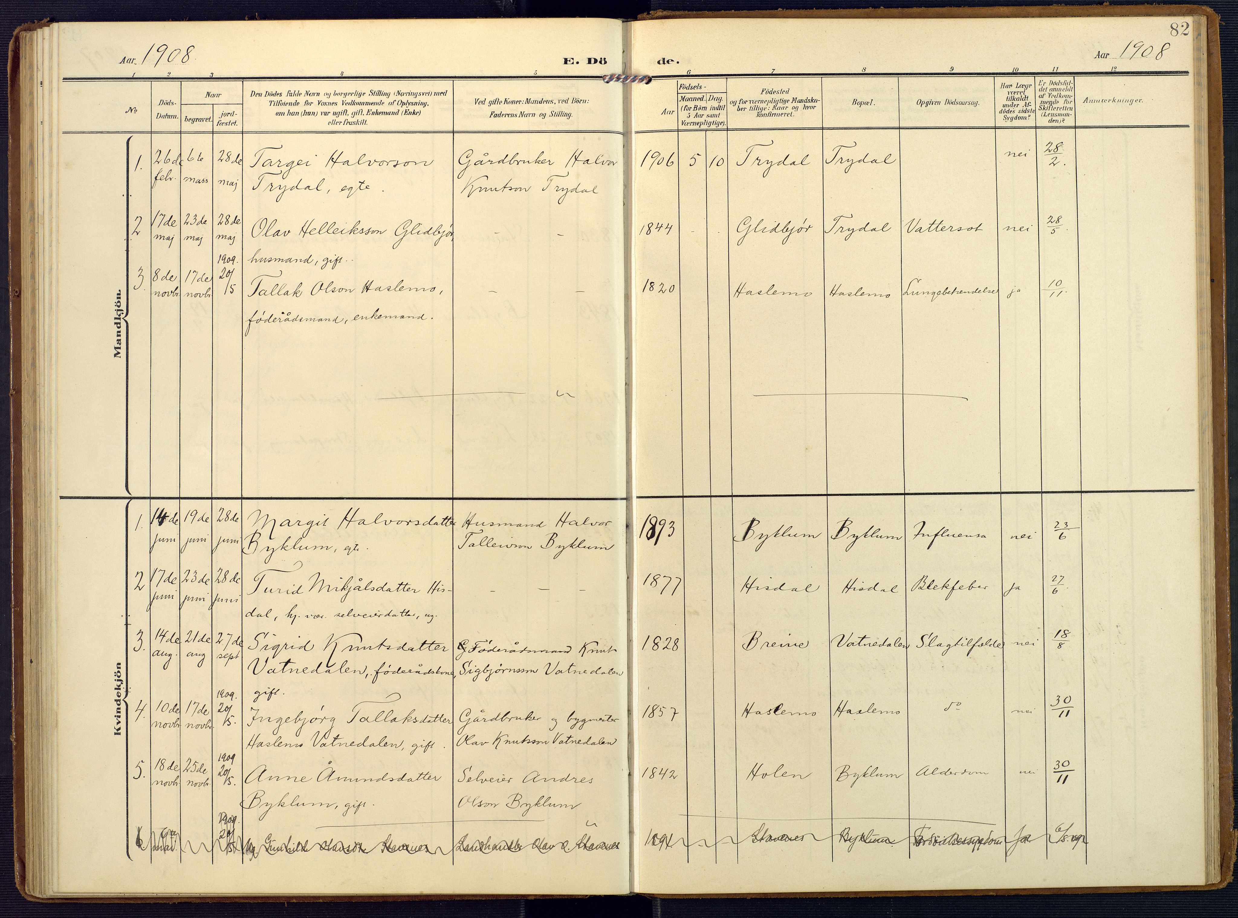 Valle sokneprestkontor, SAK/1111-0044/F/Fa/Faa/L0002: Parish register (official) no. A 2, 1907-1919, p. 82