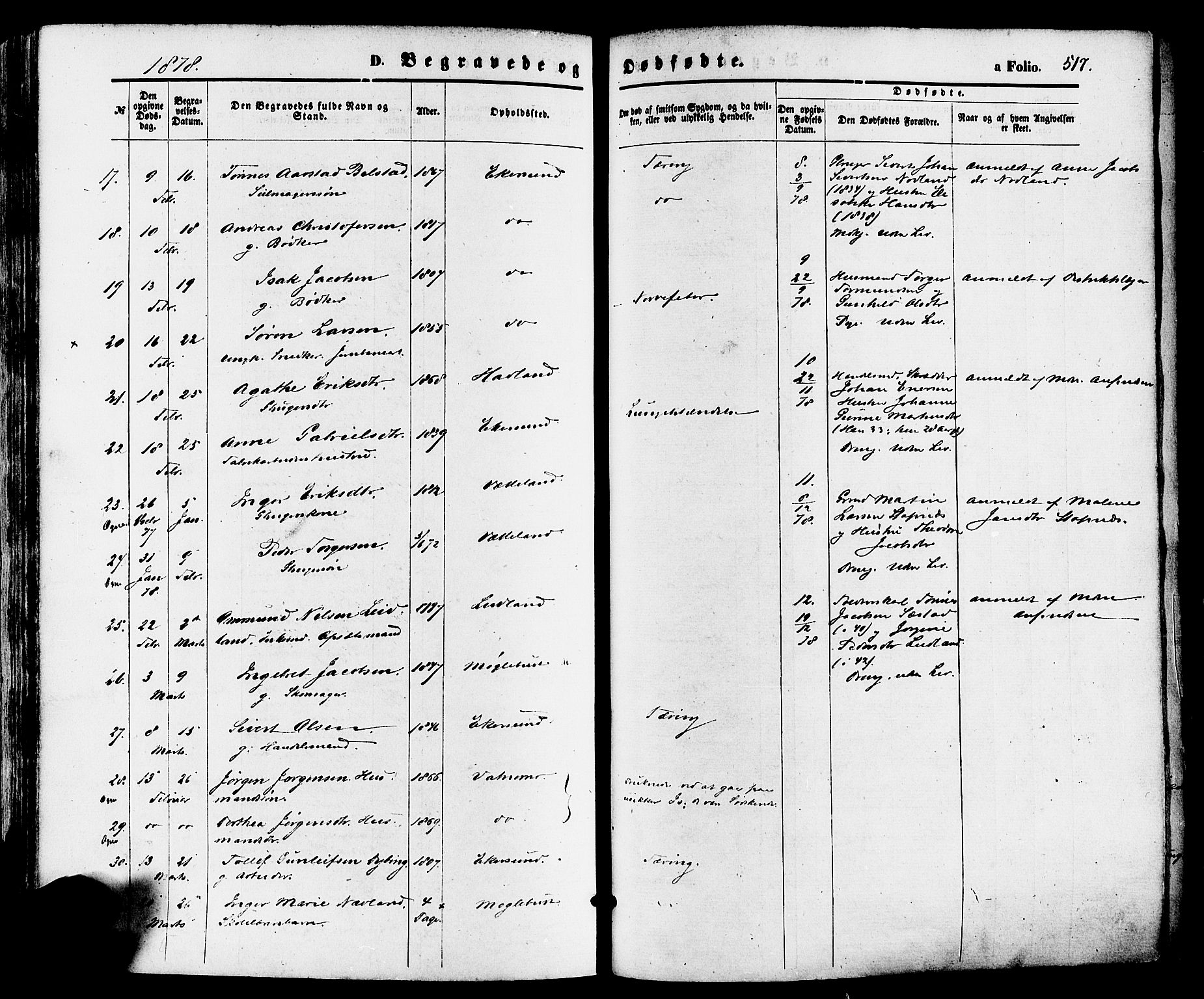 Eigersund sokneprestkontor, SAST/A-101807/S08/L0014: Parish register (official) no. A 13, 1866-1878, p. 517