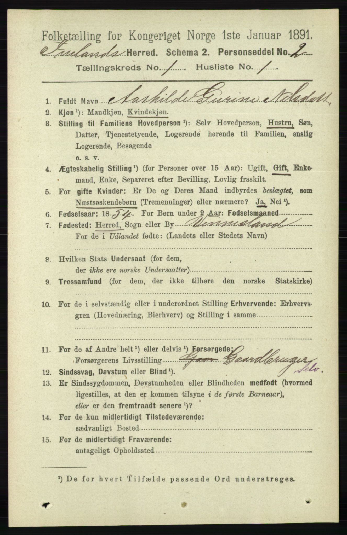 RA, 1891 census for 0935 Iveland, 1891, p. 61