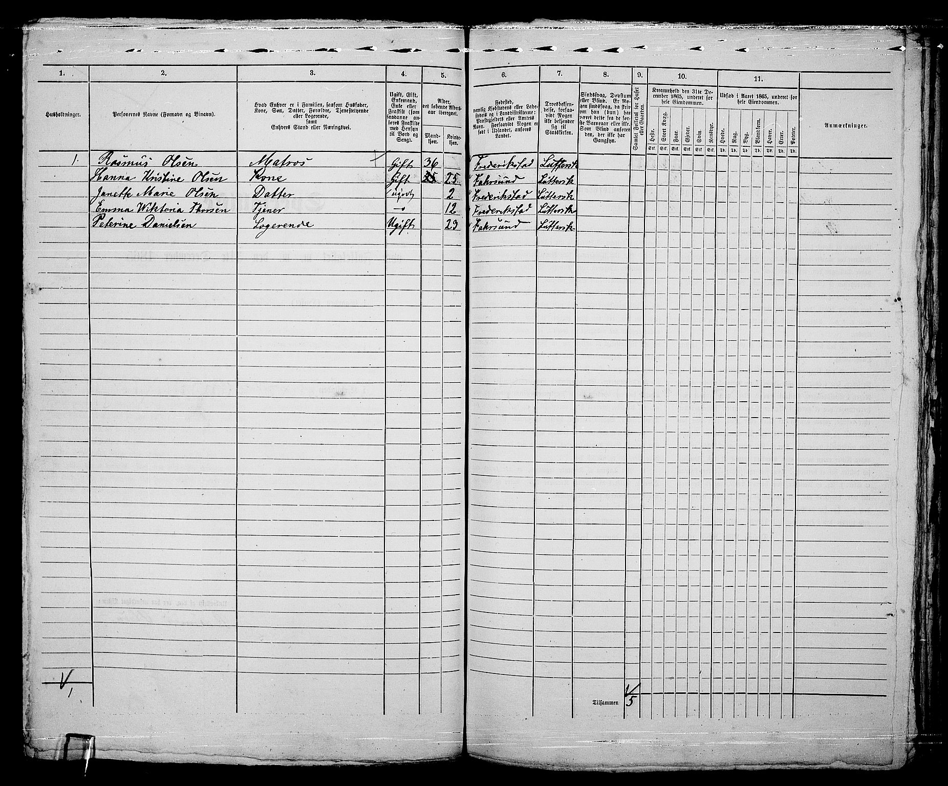 RA, 1865 census for Fredrikstad/Fredrikstad, 1865, p. 675