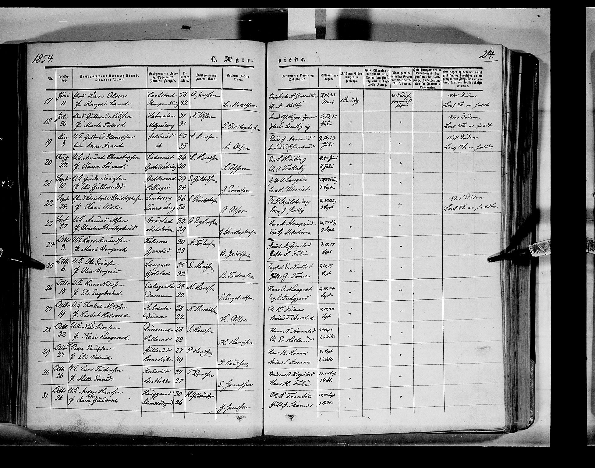 Sør-Odal prestekontor, AV/SAH-PREST-030/H/Ha/Haa/L0001: Parish register (official) no. 1, 1849-1859, p. 214