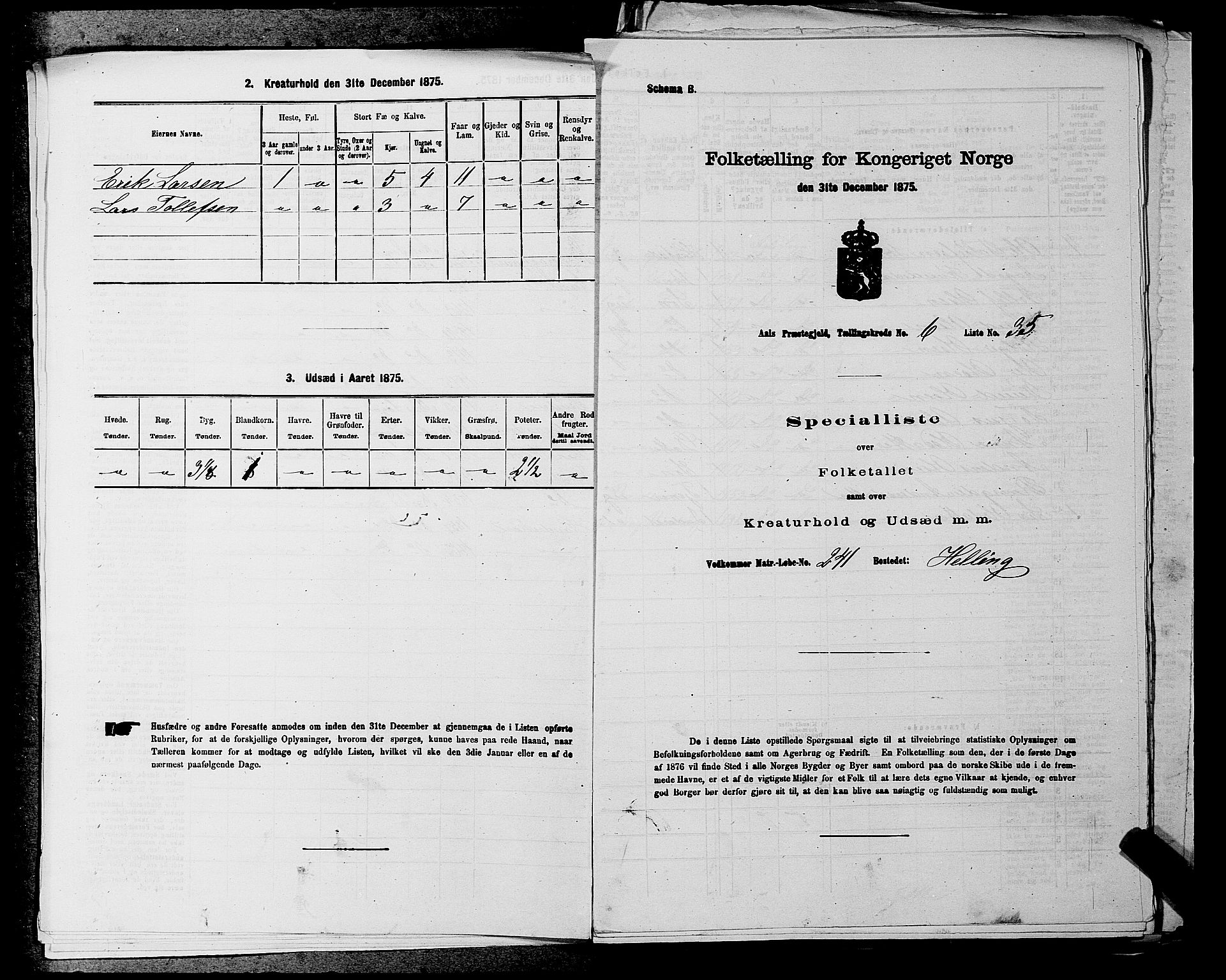 SAKO, 1875 census for 0619P Ål, 1875, p. 810