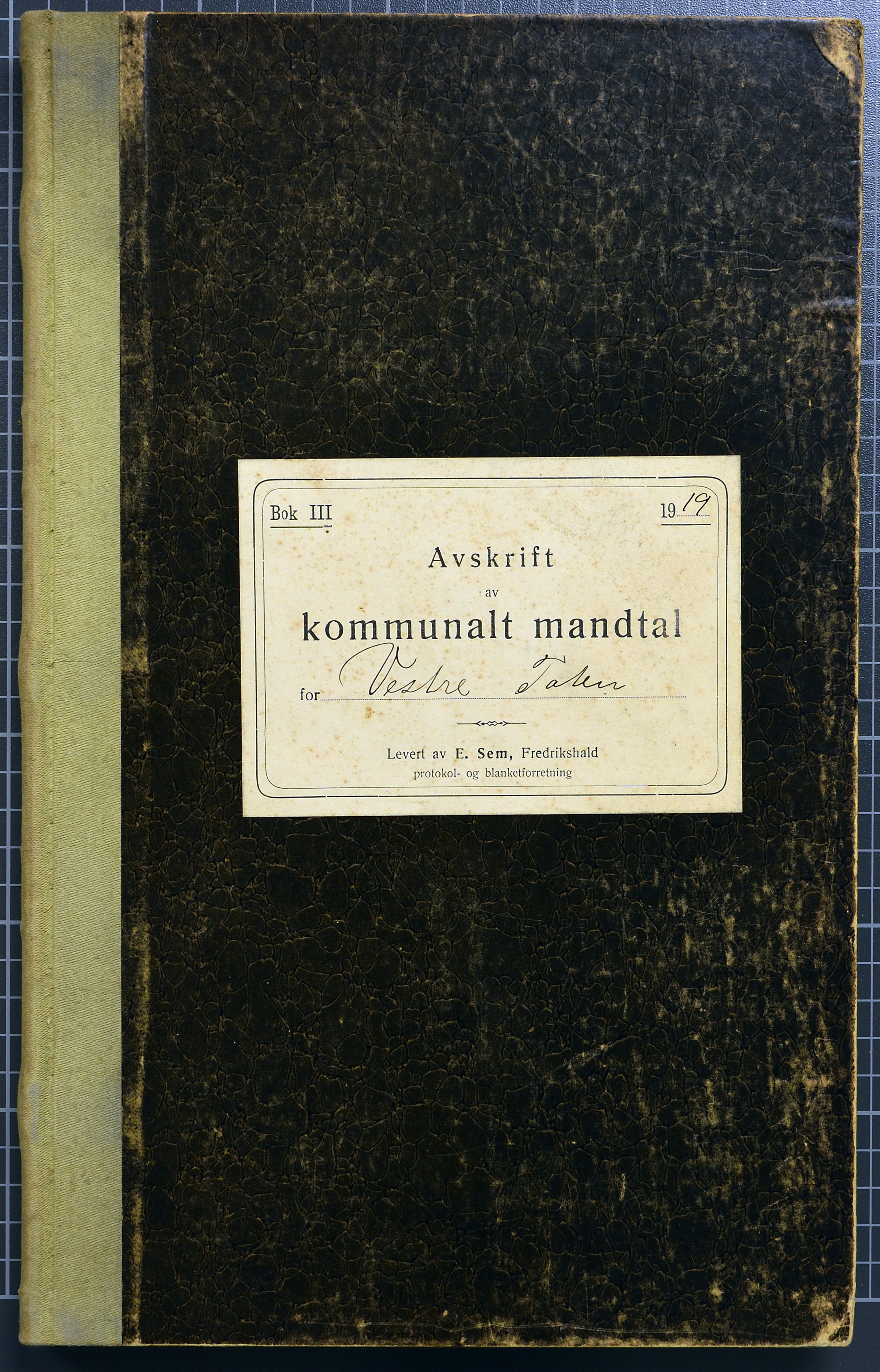 Vestre Toten kommunearkiv*, KVT/-/-/-: Manntall over stemmeberettigede innbyggere ved kommunale valg i Vestre Toten valgsokn, 1919
