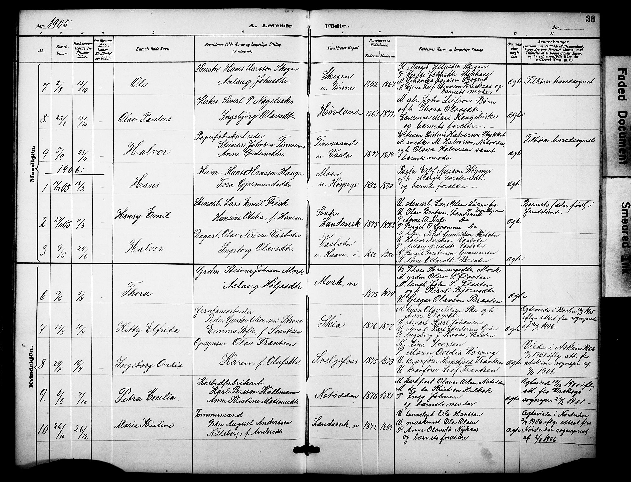 Heddal kirkebøker, SAKO/A-268/F/Fb/L0001: Parish register (official) no. II 1, 1884-1910, p. 36