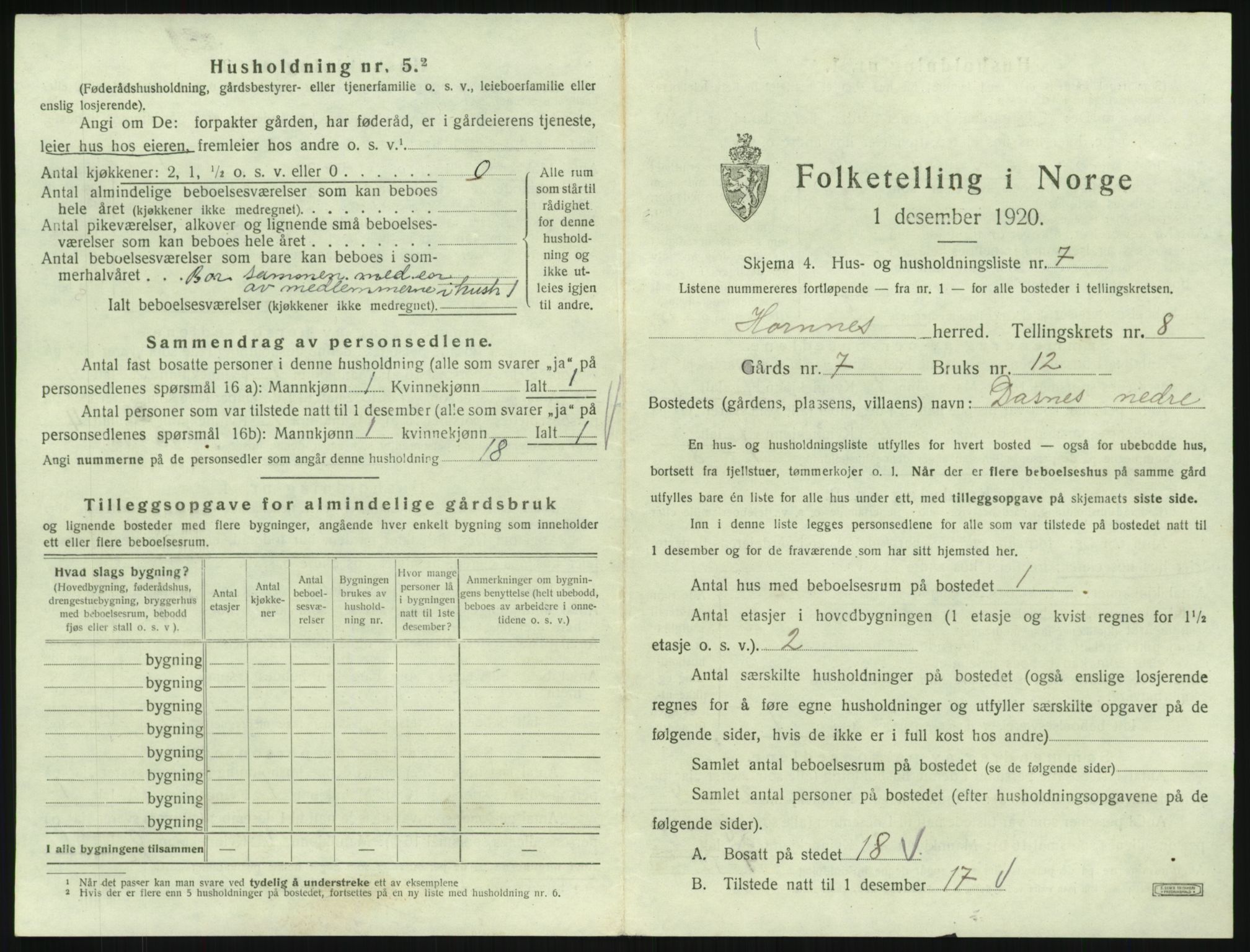 SAK, 1920 census for Hornnes, 1920, p. 305