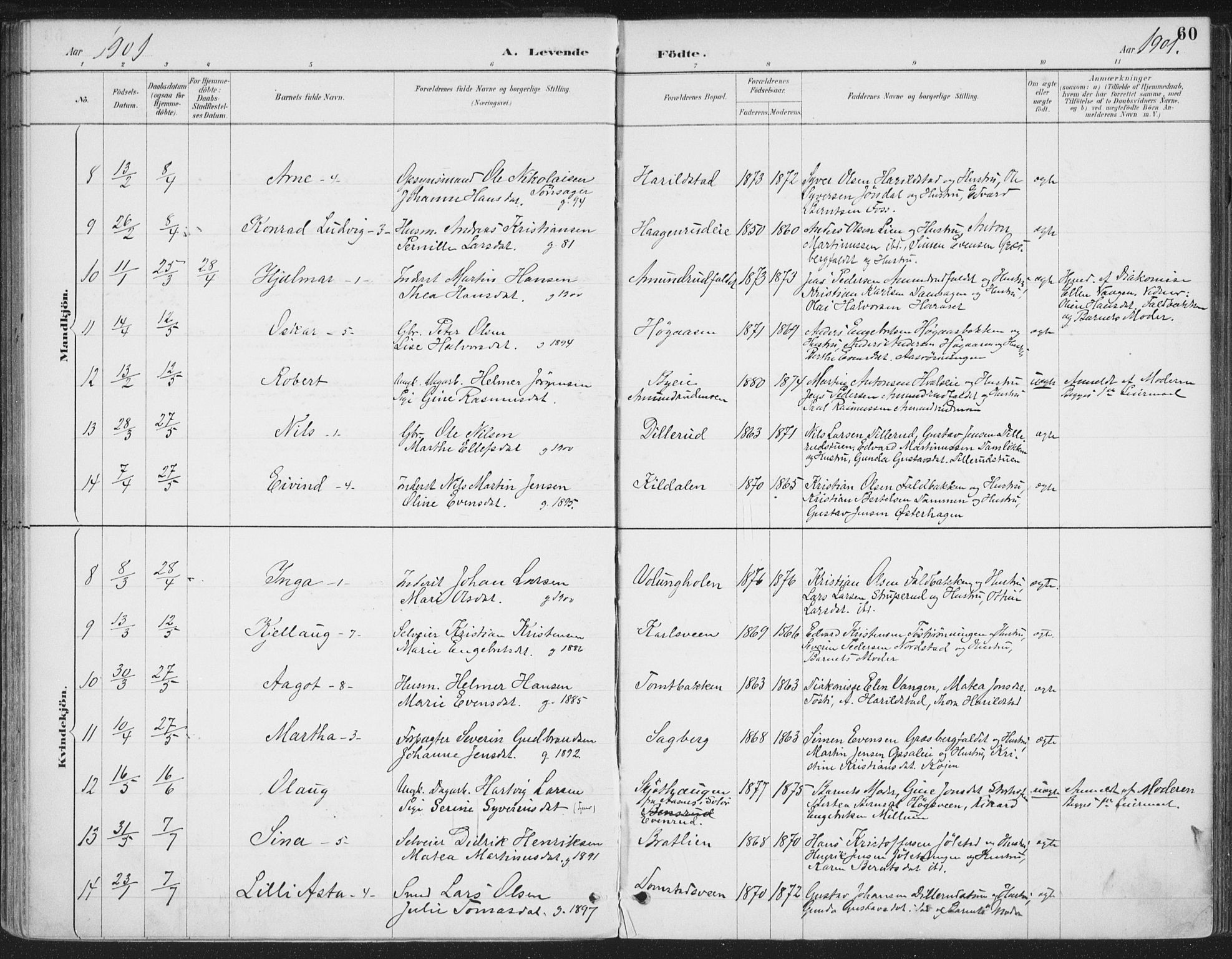 Romedal prestekontor, SAH/PREST-004/K/L0008: Parish register (official) no. 8, 1887-1905, p. 60