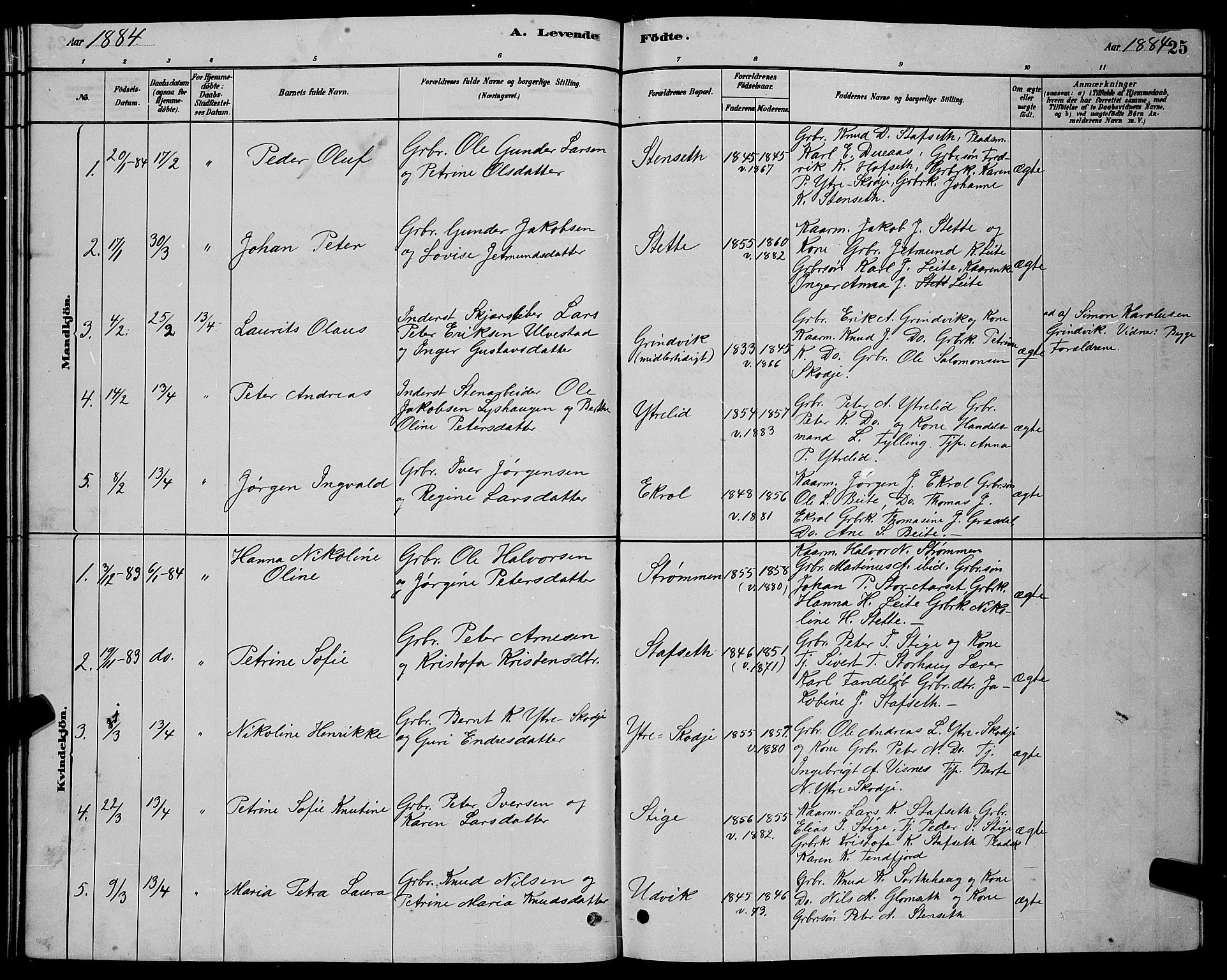 Ministerialprotokoller, klokkerbøker og fødselsregistre - Møre og Romsdal, SAT/A-1454/524/L0365: Parish register (copy) no. 524C06, 1880-1899, p. 25