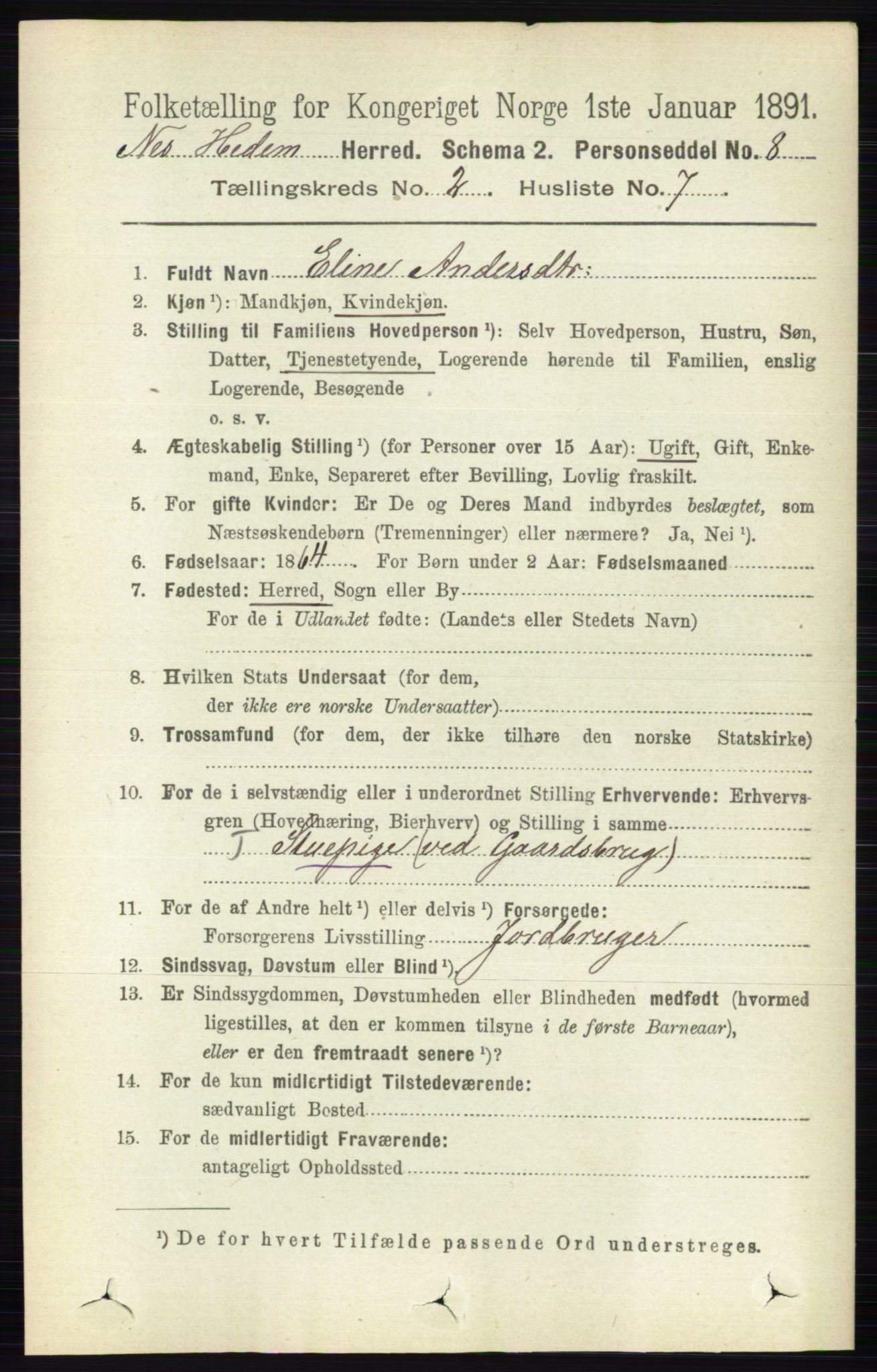 RA, 1891 census for 0411 Nes, 1891, p. 1116