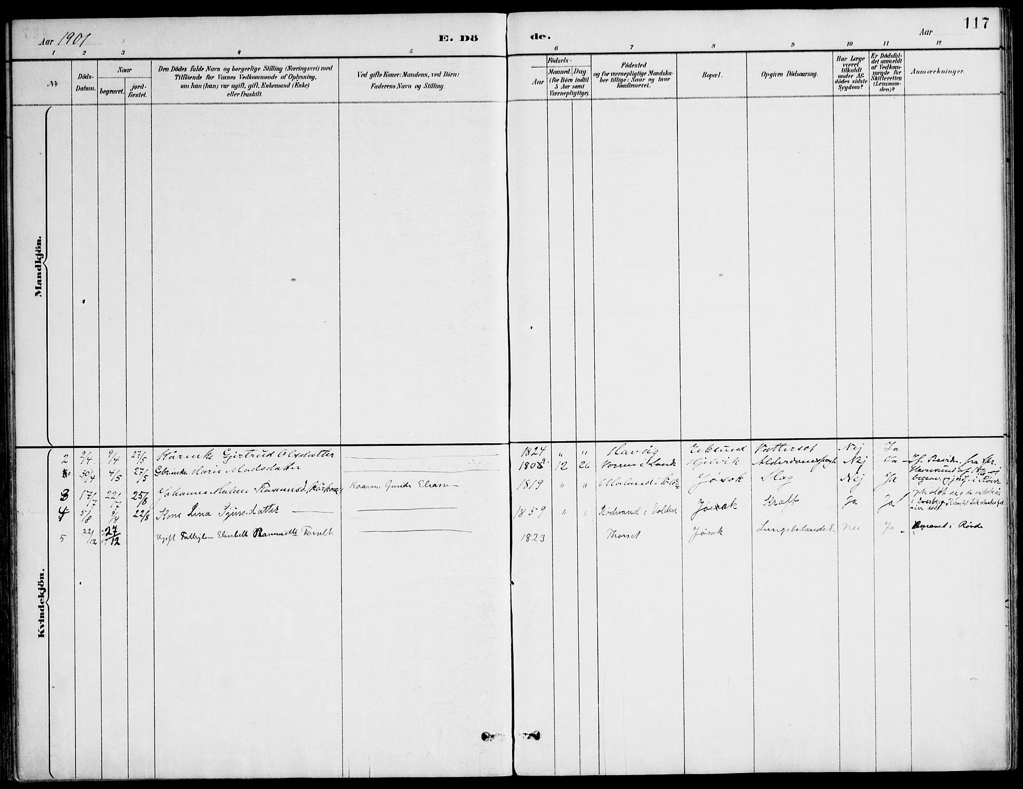 Ministerialprotokoller, klokkerbøker og fødselsregistre - Møre og Romsdal, AV/SAT-A-1454/508/L0095: Parish register (official) no. 508A02, 1887-1920, p. 117