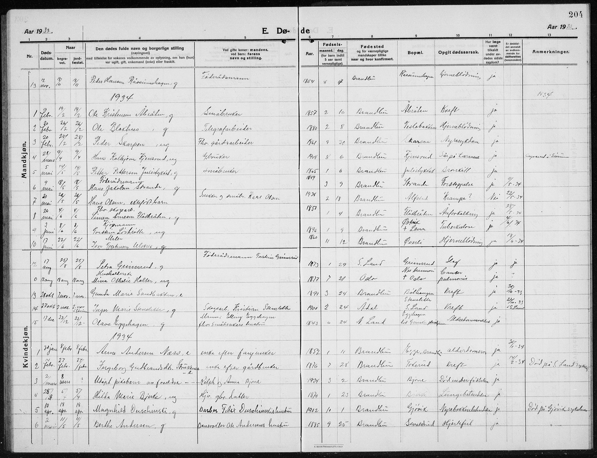 Brandbu prestekontor, SAH/PREST-114/H/Ha/Hab/L0001: Parish register (copy) no. 1, 1914-1937, p. 204