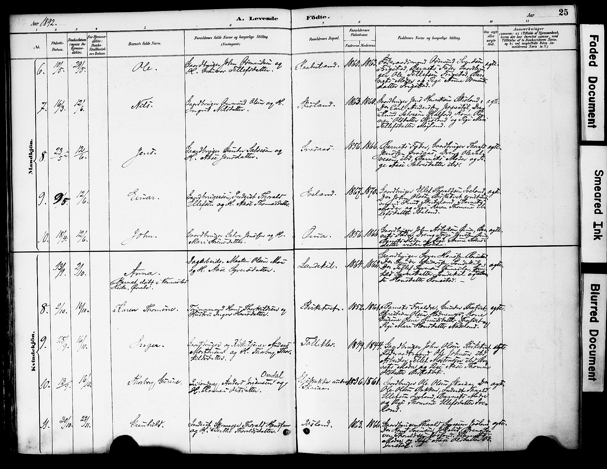 Evje sokneprestkontor, AV/SAK-1111-0008/F/Fa/Fac/L0003: Parish register (official) no. A 3, 1884-1909, p. 25
