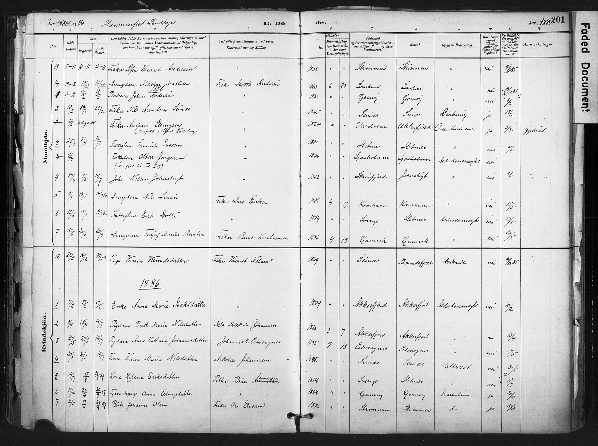 Hammerfest sokneprestkontor, AV/SATØ-S-1347/H/Ha/L0011.kirke: Parish register (official) no. 11 /1, 1885-1897, p. 201