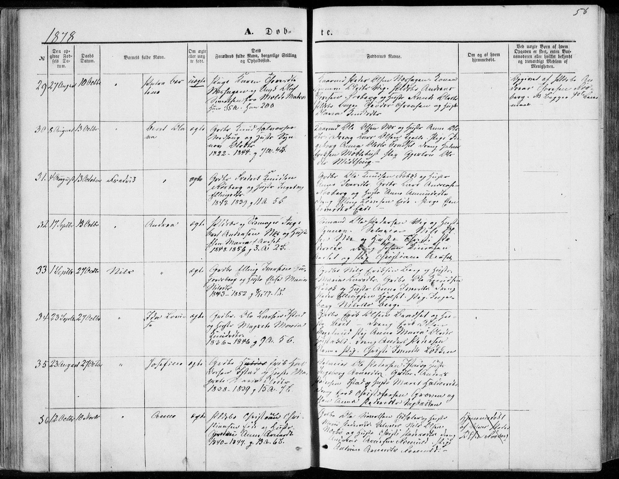 Ministerialprotokoller, klokkerbøker og fødselsregistre - Møre og Romsdal, AV/SAT-A-1454/557/L0681: Parish register (official) no. 557A03, 1869-1886, p. 56