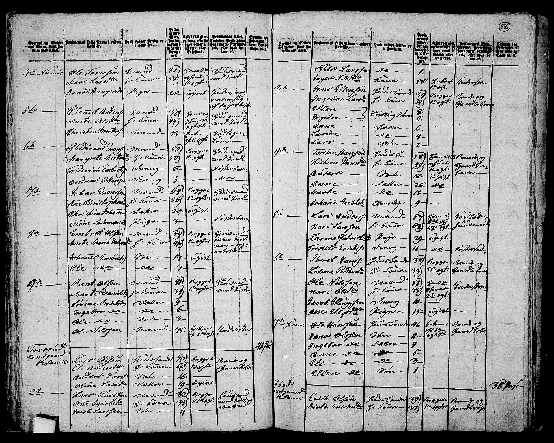 RA, 1801 census for 0626P Lier, 1801, p. 535b-536a