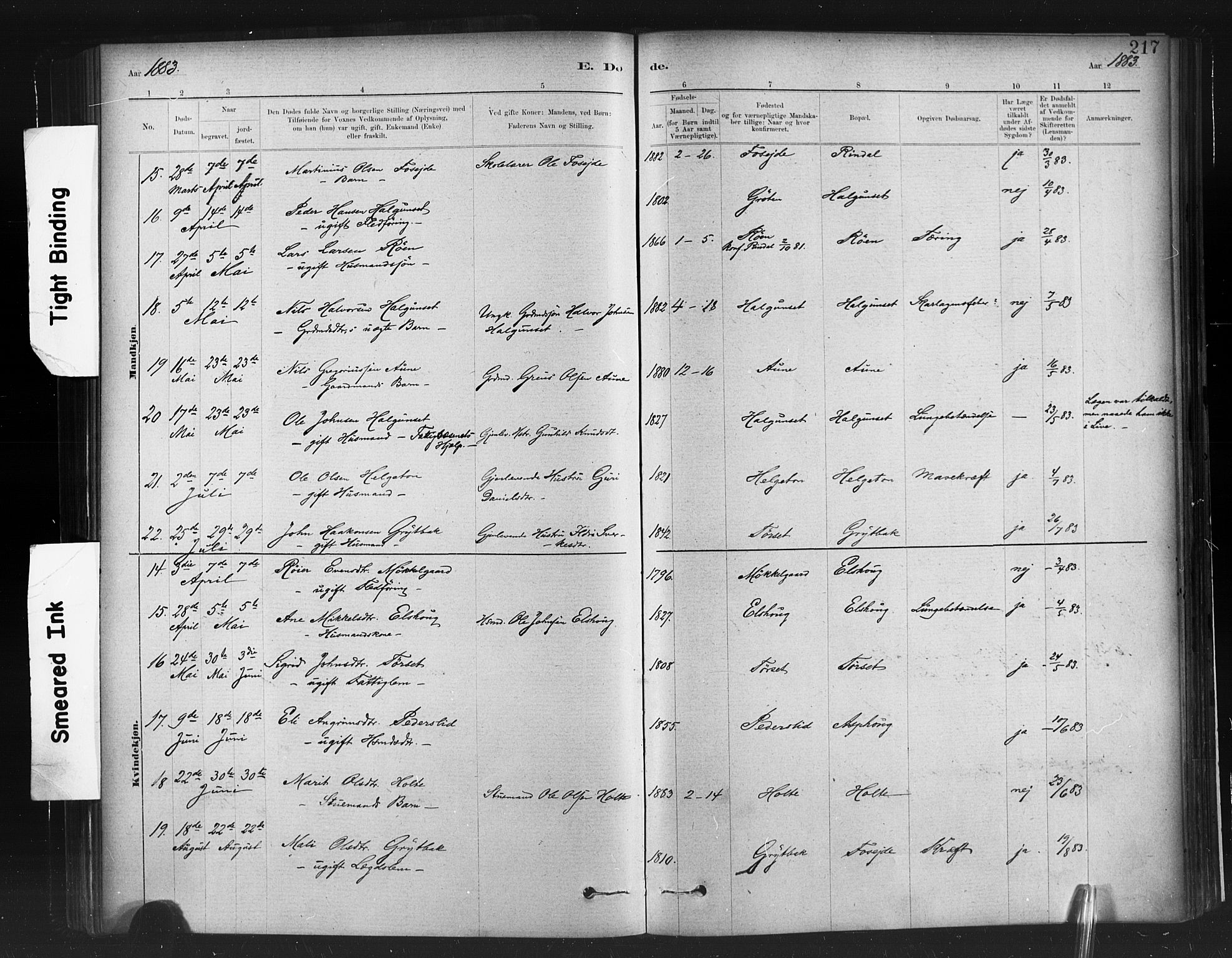 Ministerialprotokoller, klokkerbøker og fødselsregistre - Møre og Romsdal, AV/SAT-A-1454/598/L1069: Parish register (official) no. 598A03, 1882-1895, p. 217