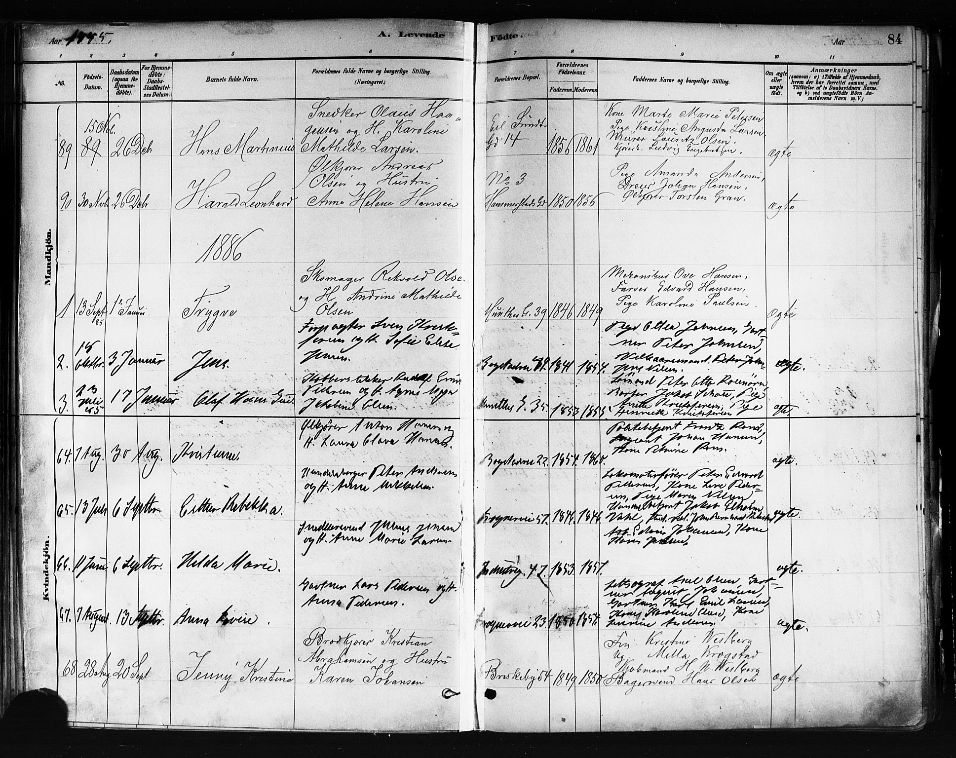 Uranienborg prestekontor Kirkebøker, SAO/A-10877/F/Fa/L0001: Parish register (official) no. 1, 1880-1895, p. 84